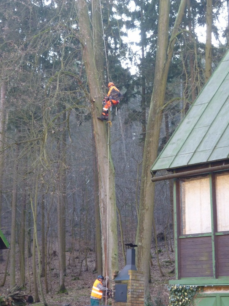 Miroslav Kocman foto 5