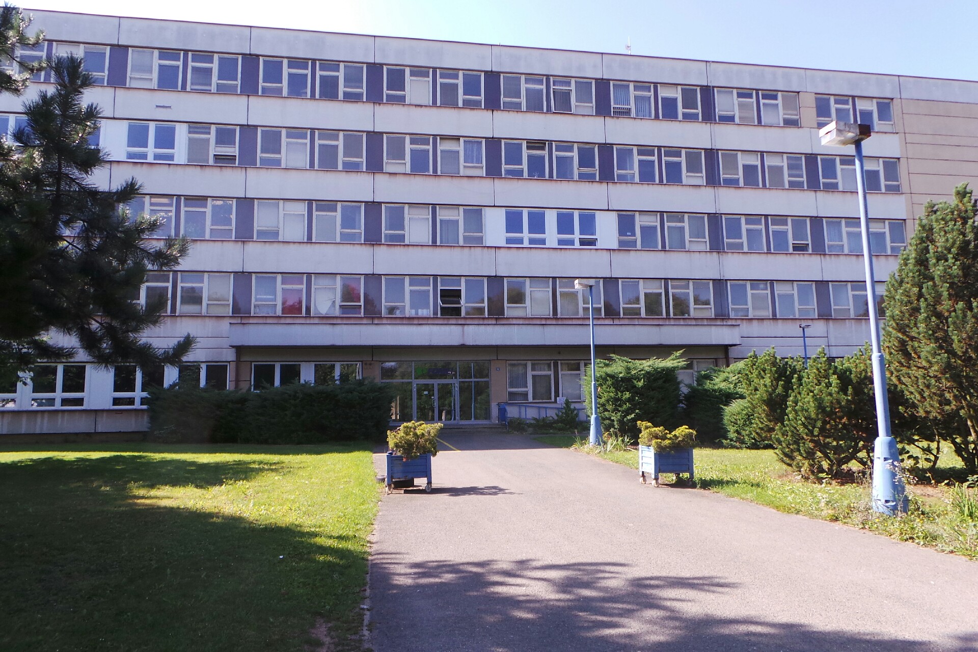 Martin Mareš - MatCom