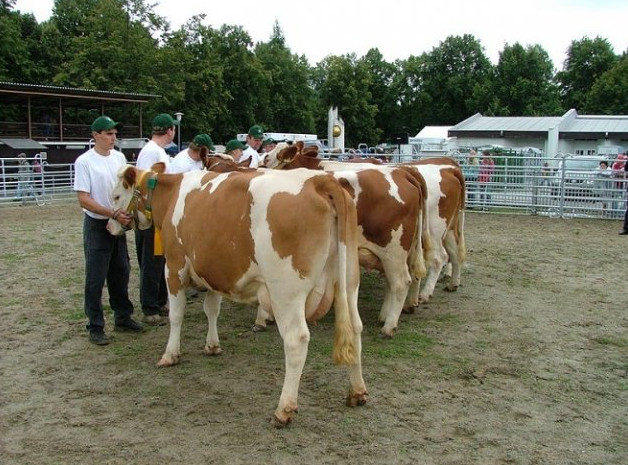 Farma u Drhovských foto 2