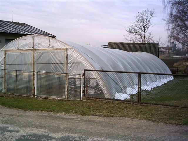 Jan Kolář - FOLIE foto 3