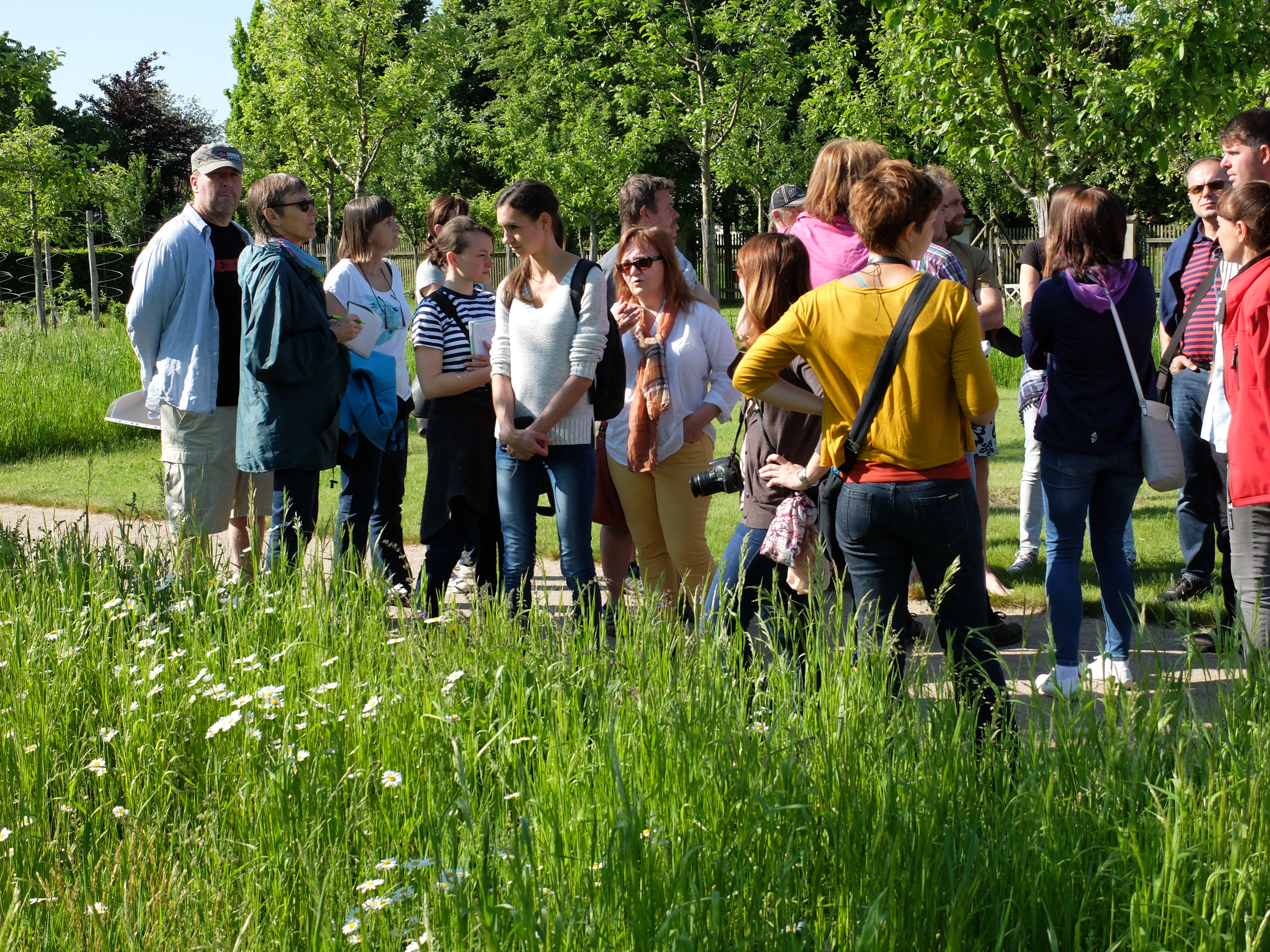 Kvetnatelouky.cz foto 3