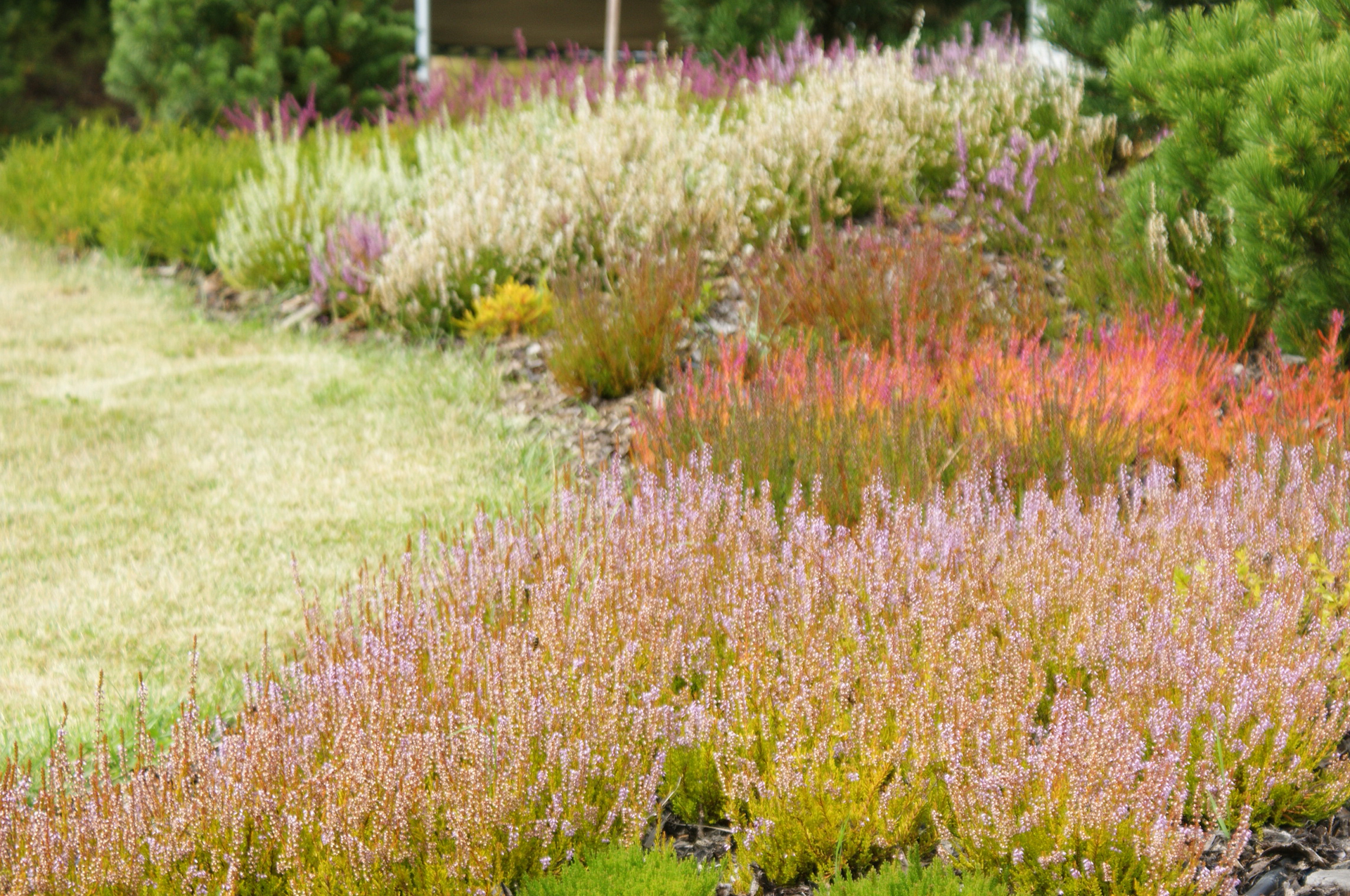 Arboservis - Ing. Roman Koláčný foto 2