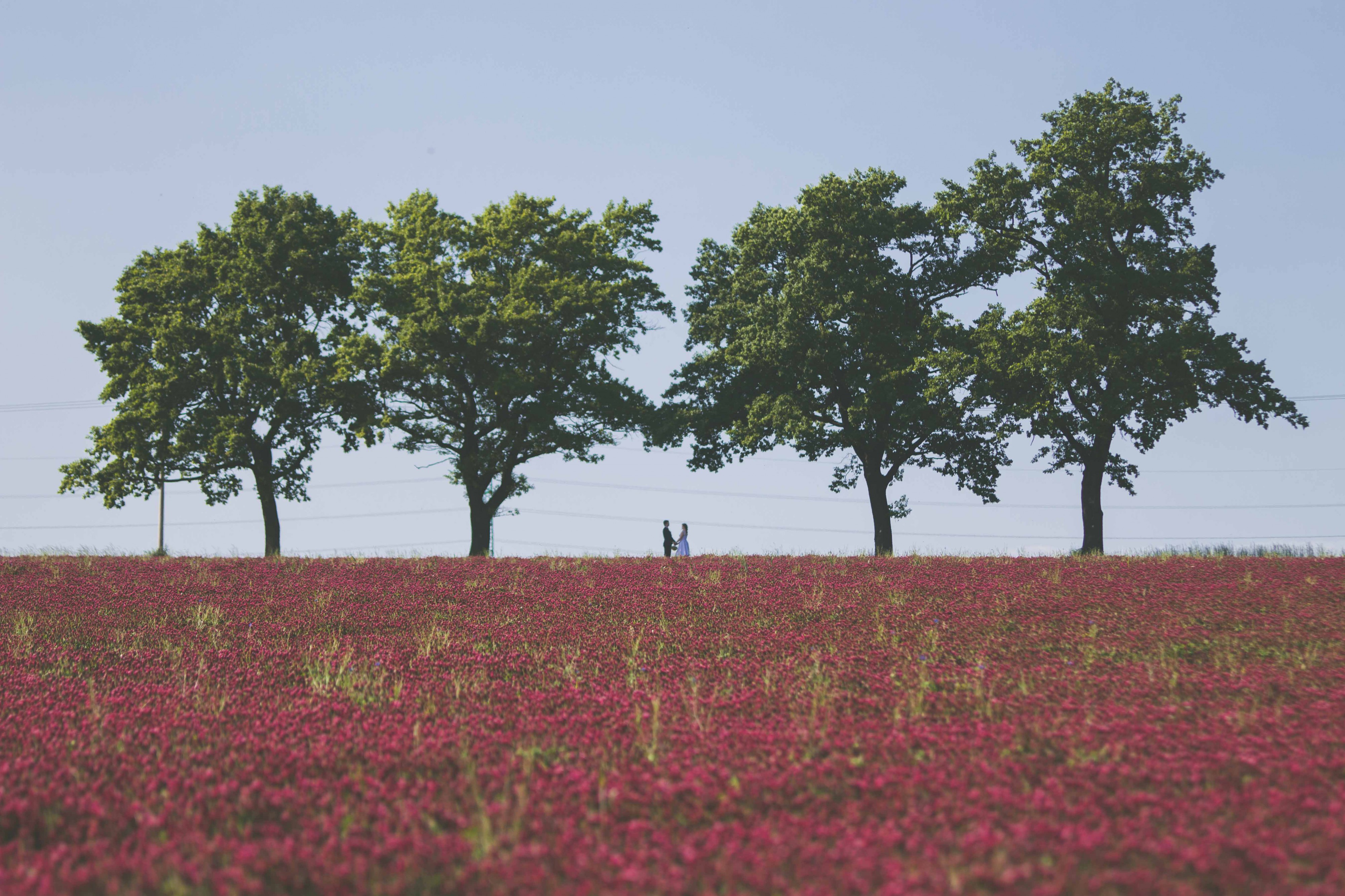 Eva Bebko Photography foto 3