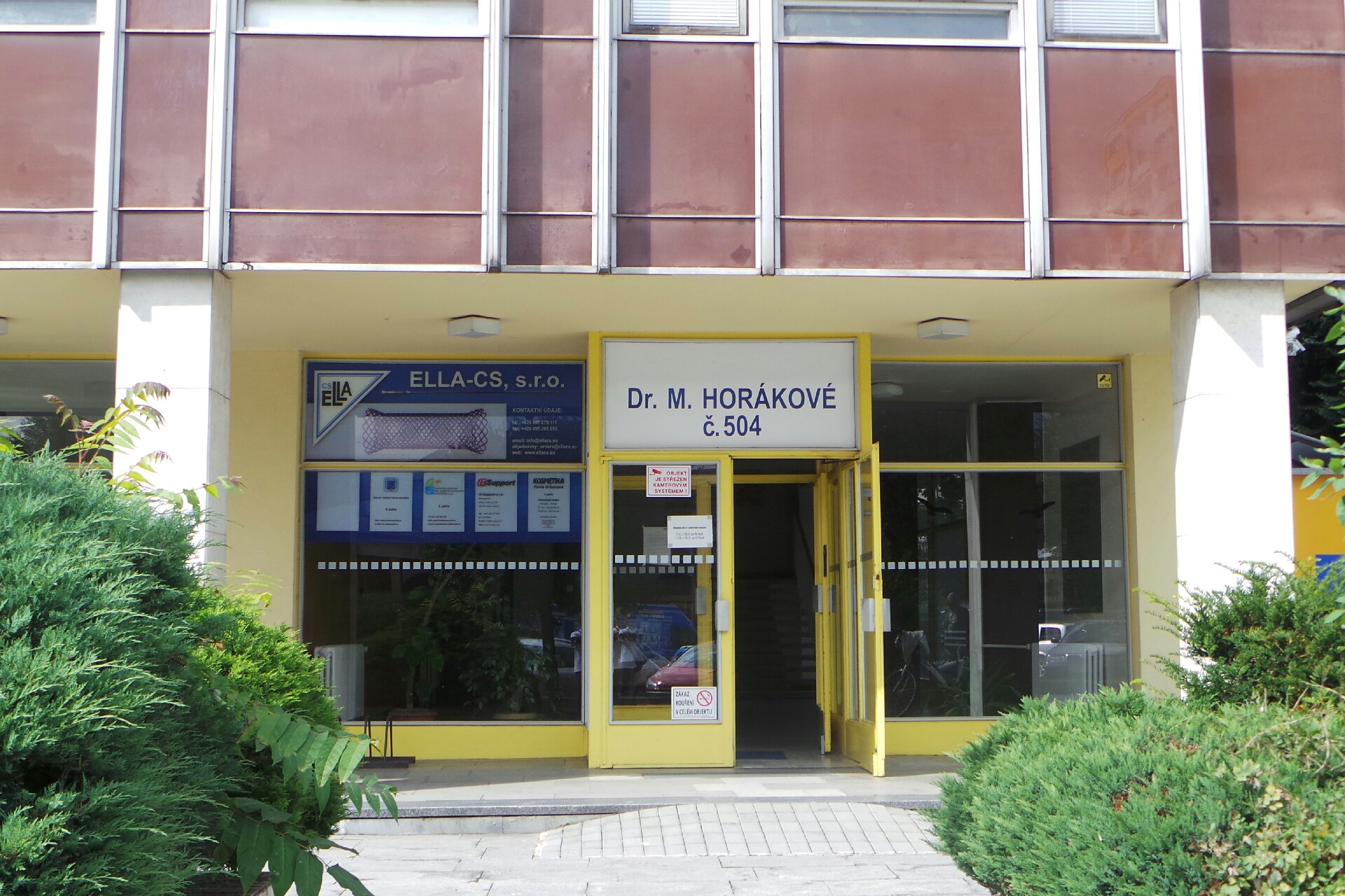 Liga proti rakovině, sdružení onkologických pacientů a přátel