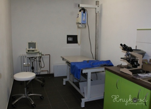 Veterinární ordinace Pod Kuřidlem foto 4