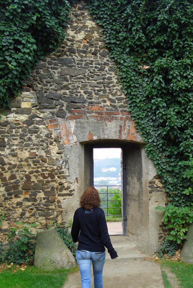 Z.Müllerová - PSYCHOposilovna foto 2