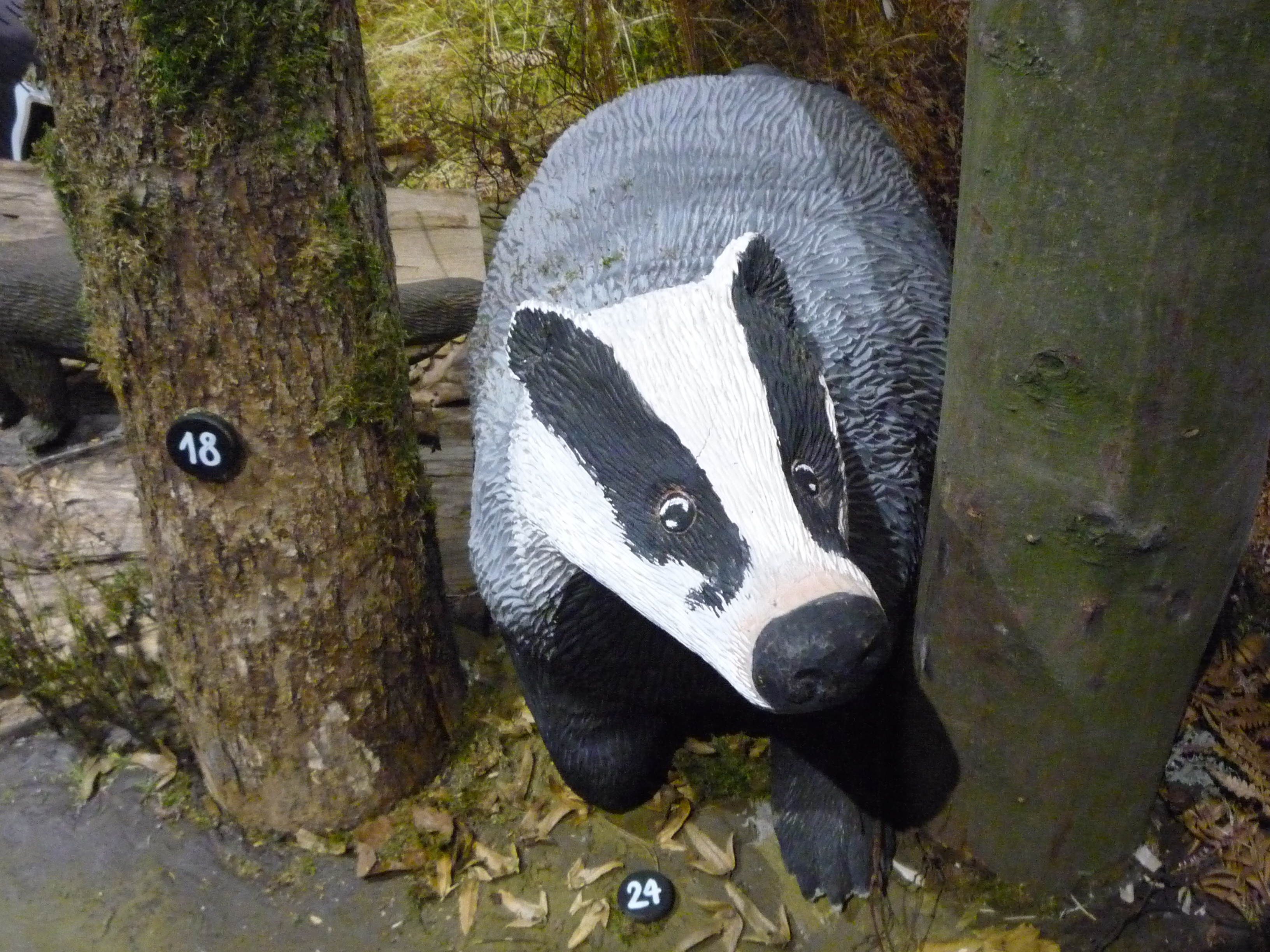 Dům přírody Českého ráje foto 4