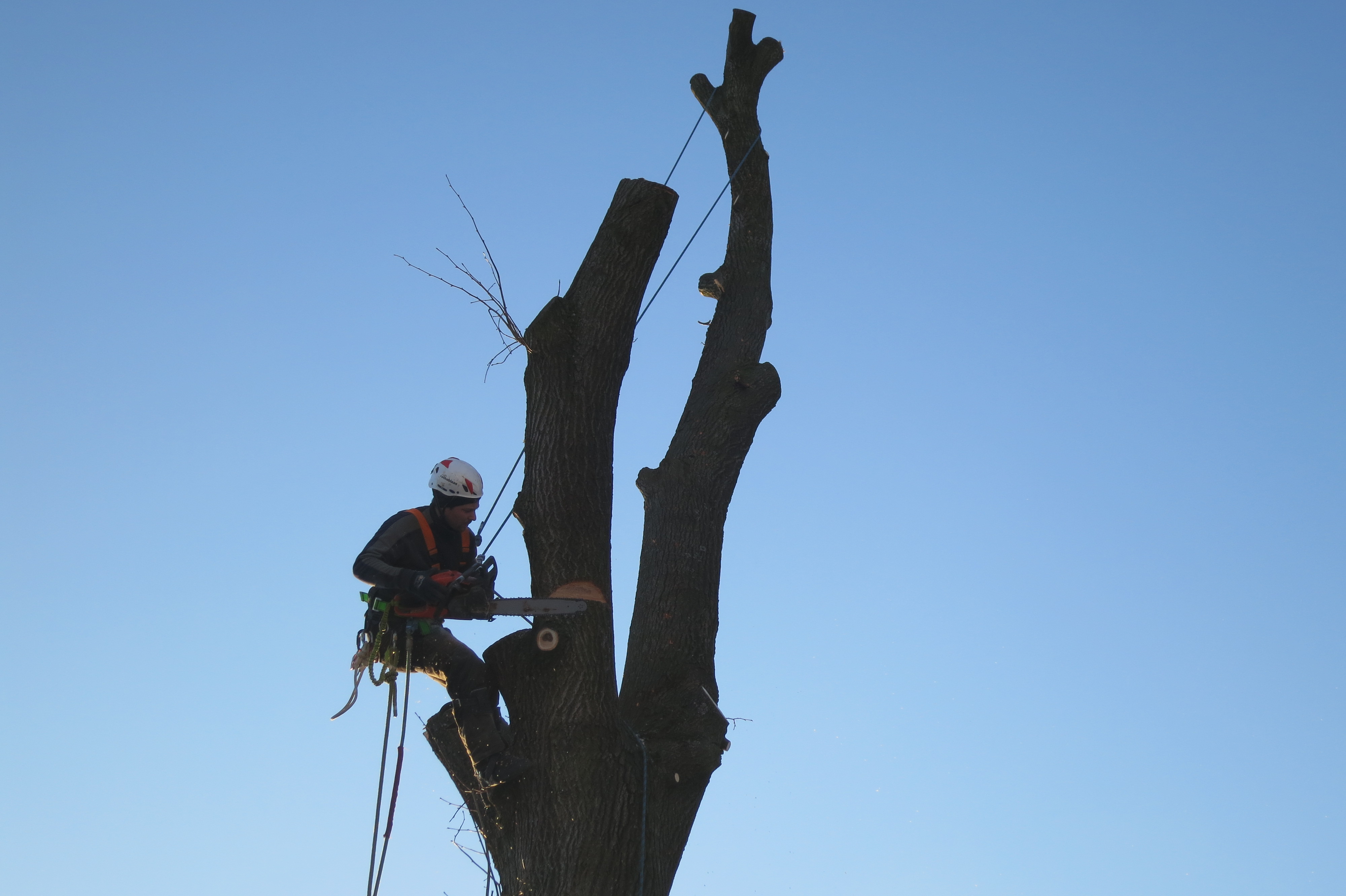 Tomáš Kvarda foto 2