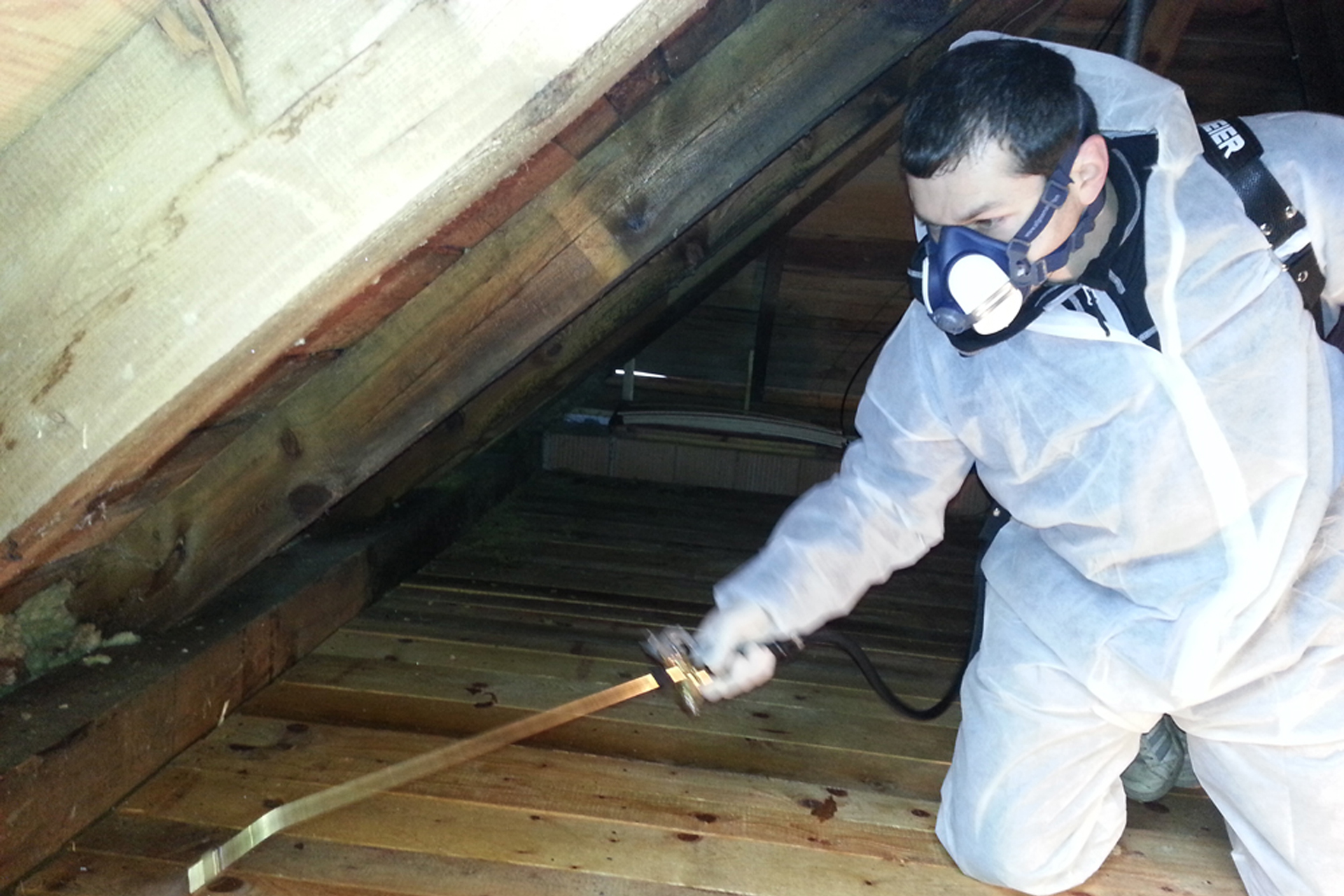 Jakub Pospíchal - ASAPO