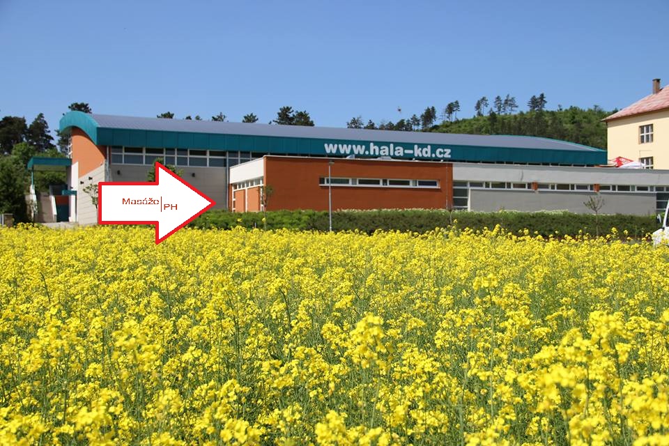 Pavel Hnízdil - Masáže PH foto 4