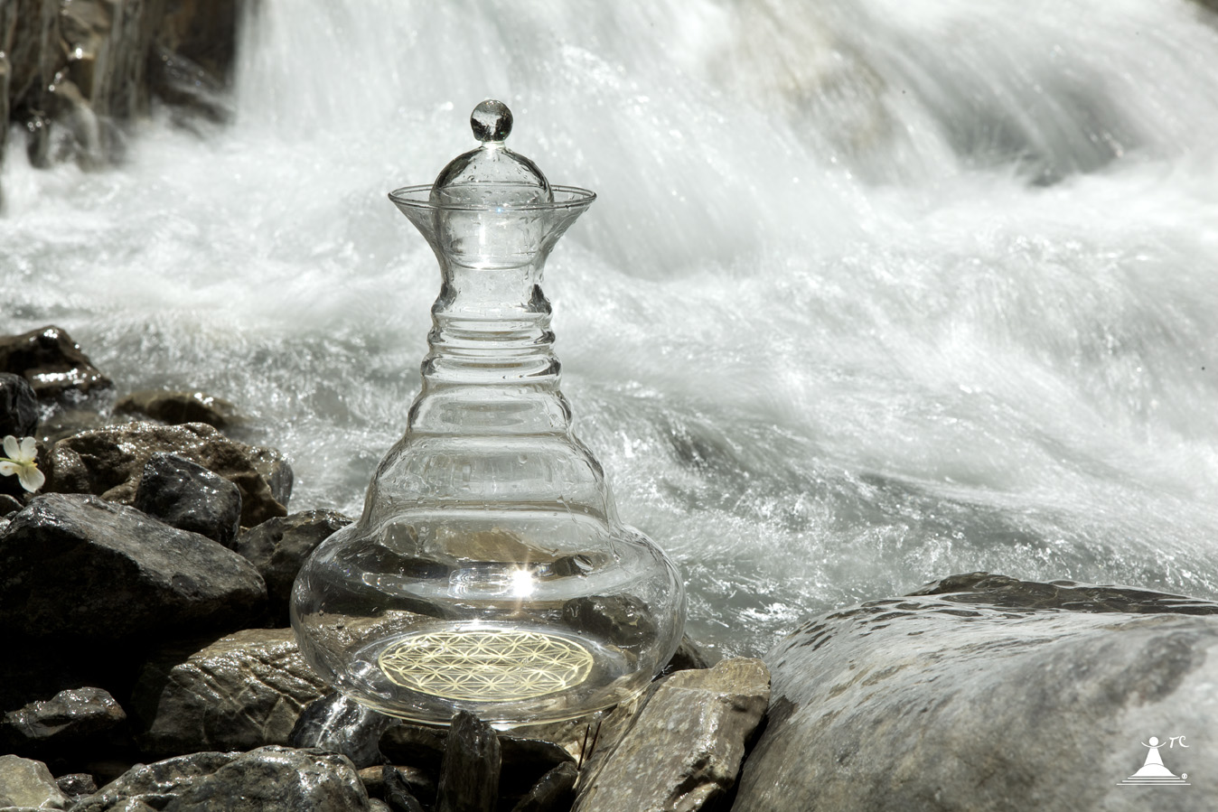 NaturesDesign.cz foto 2