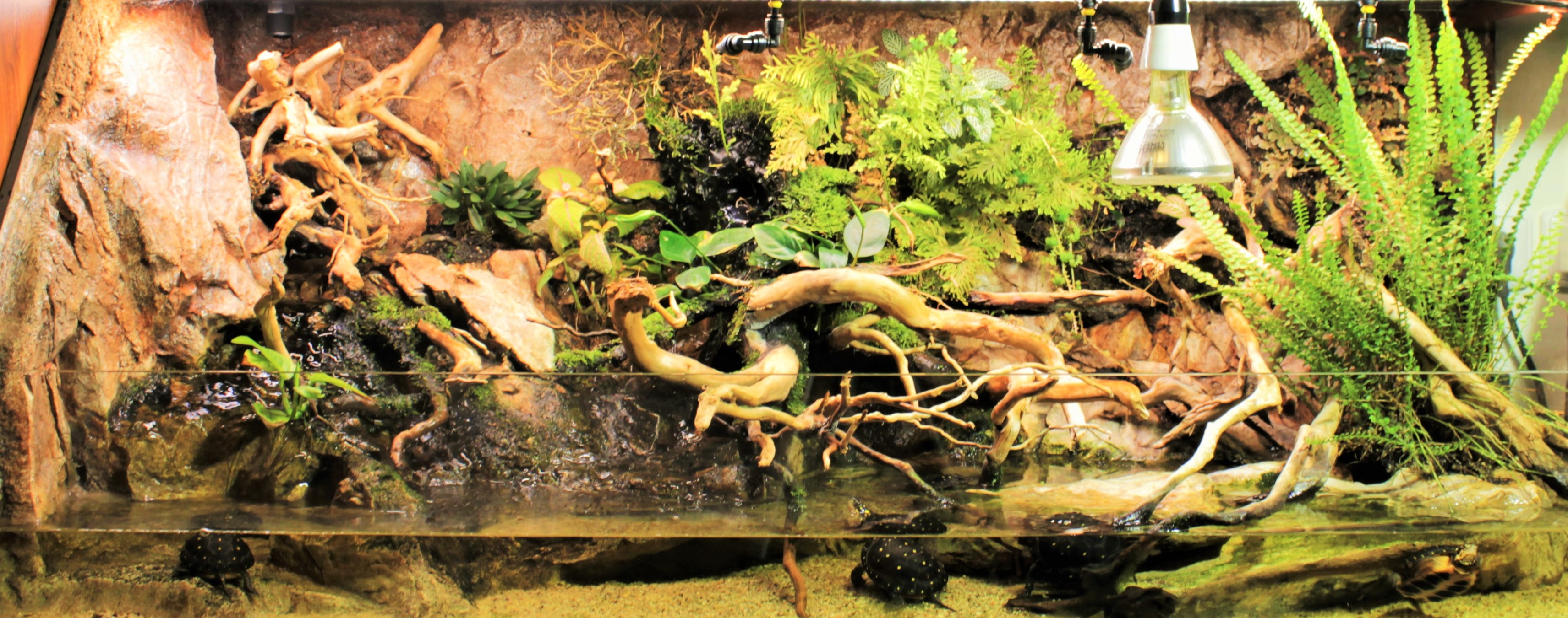 Chovatelské potřeby Věštínská 565/2 foto 4