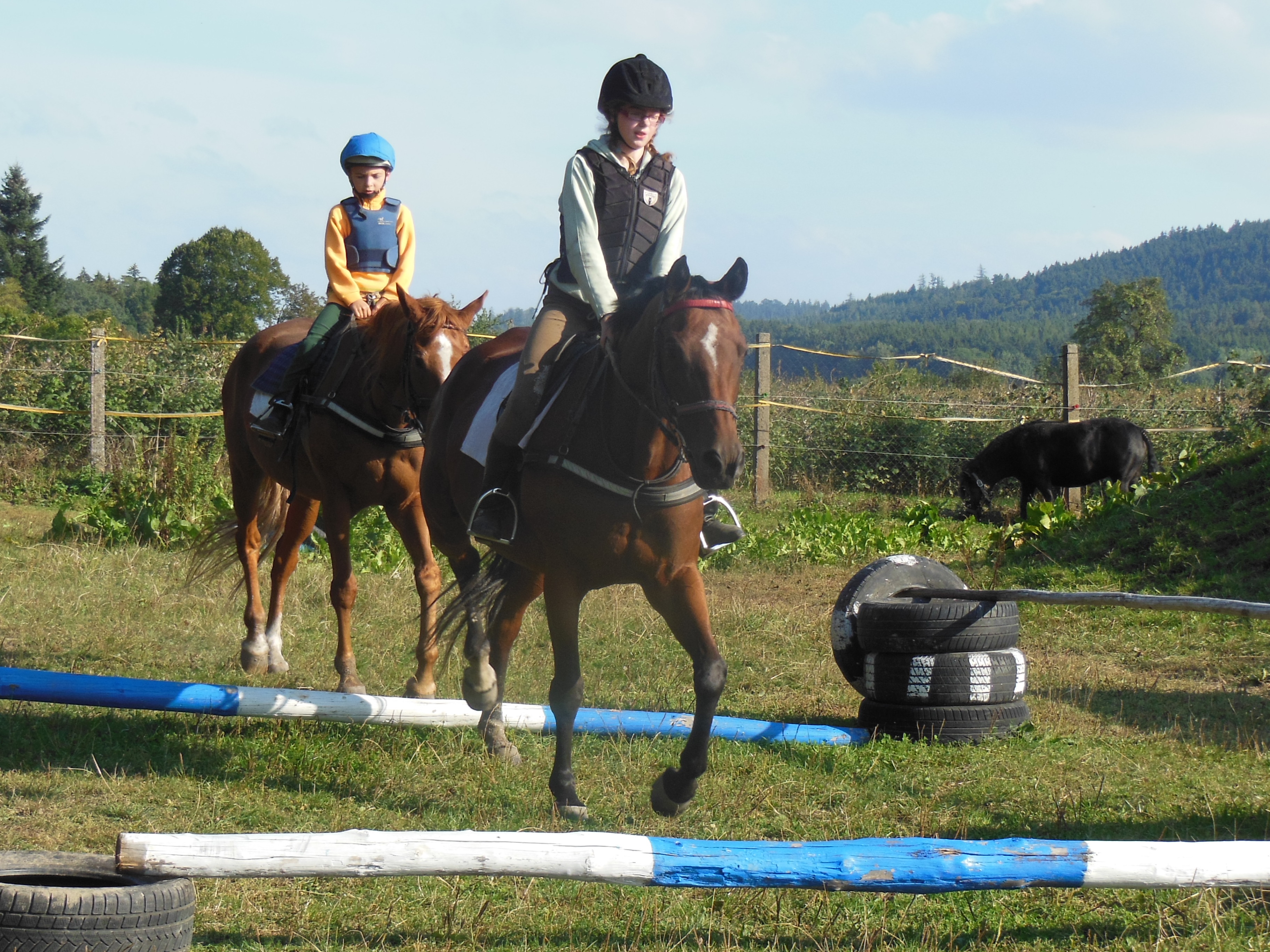 Jezdecký spolek Doudleby nad Orlicí foto 2
