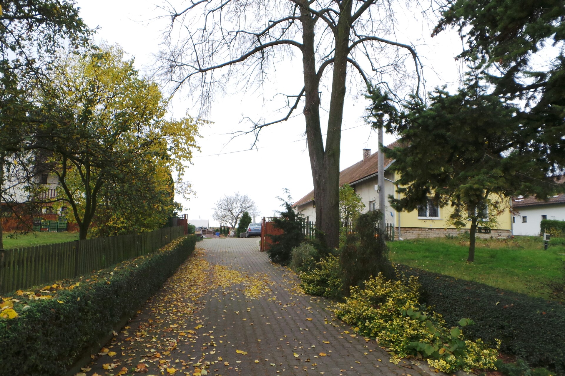 Bio-zelenina Jitka Píchová