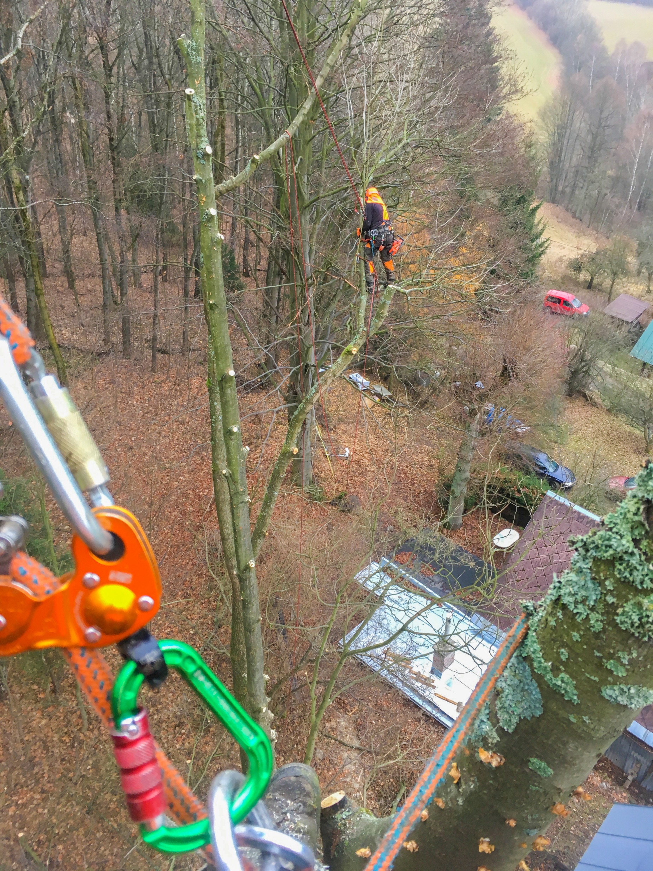 Kácení bez rizik - Rizikové kácení stromů foto 2