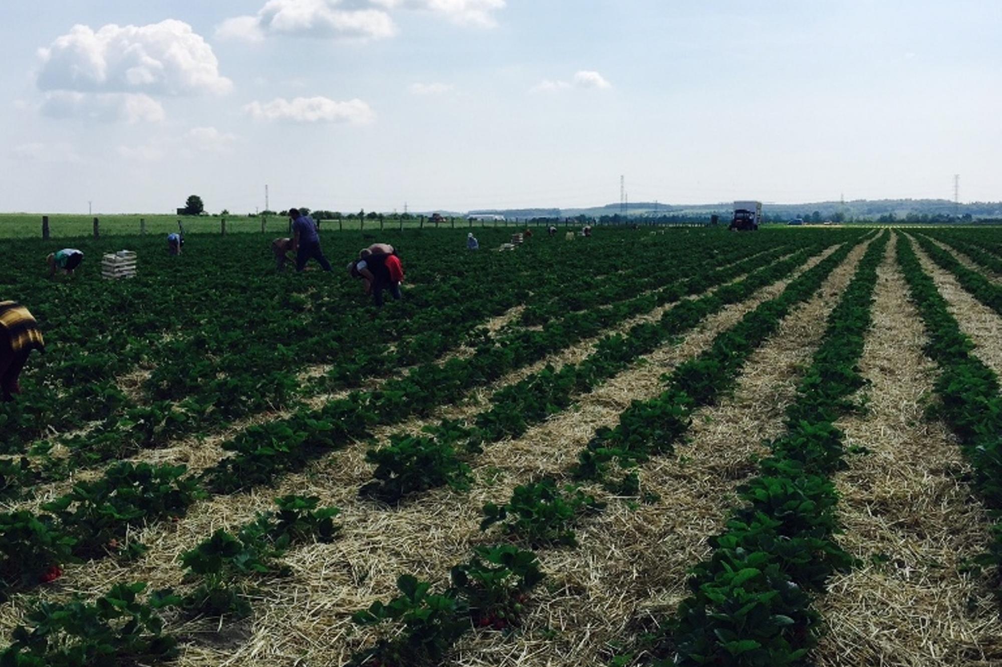 Poradenské služby Ing. Kateřina Vávrová