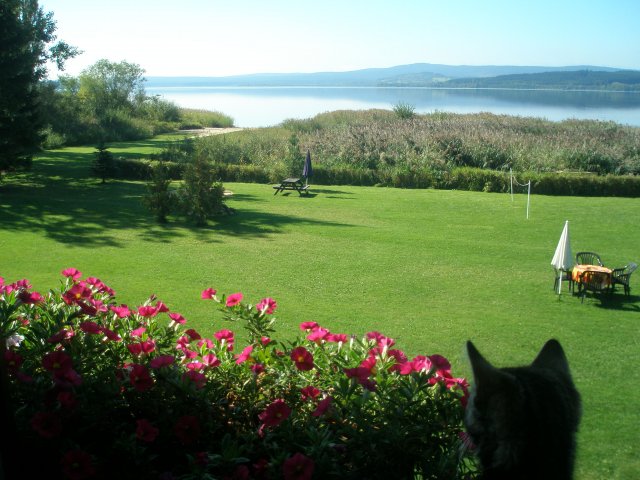 Pension Adler foto 3