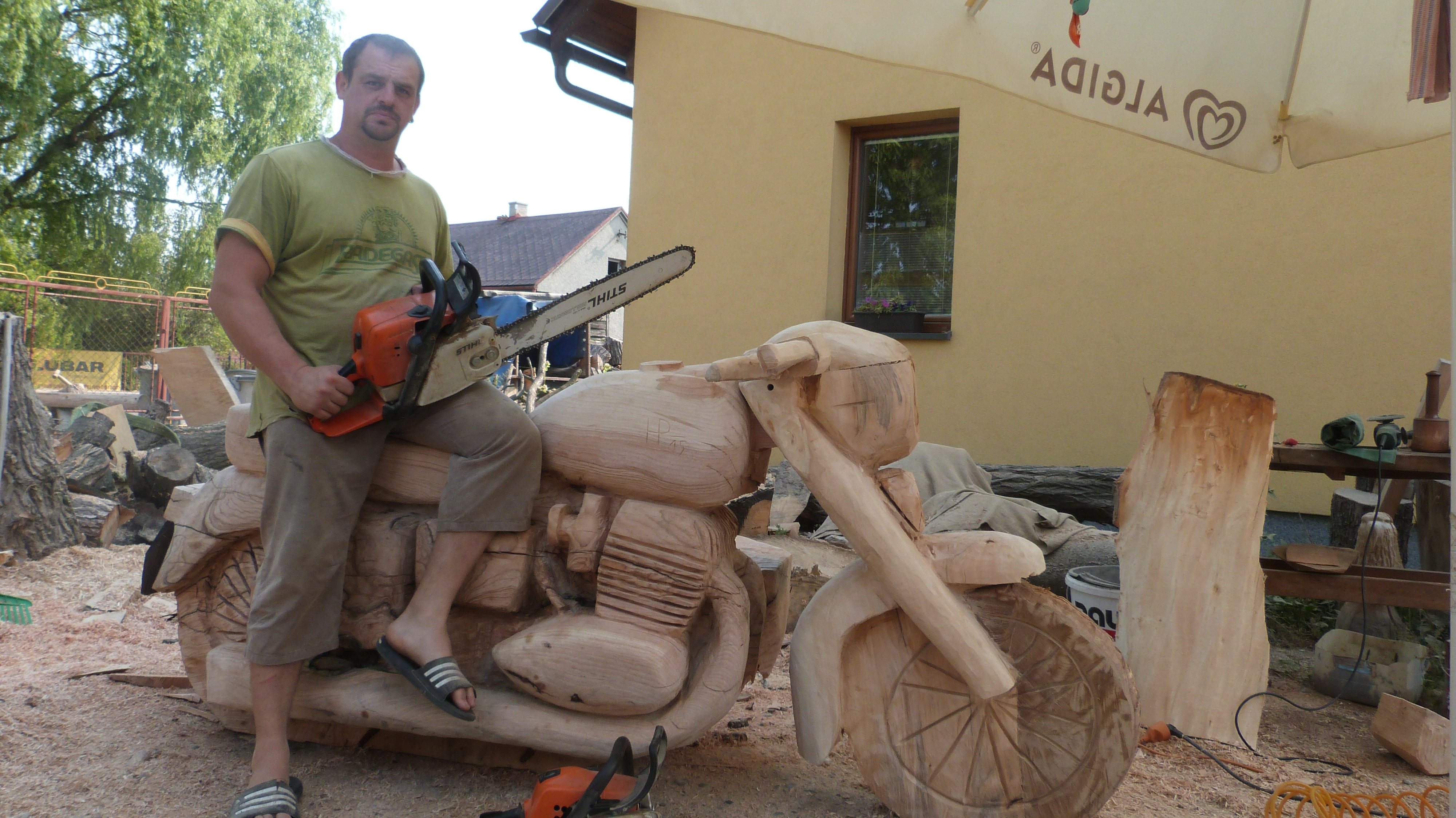 Pavel Herák - rizikové kácení stromů foto 4