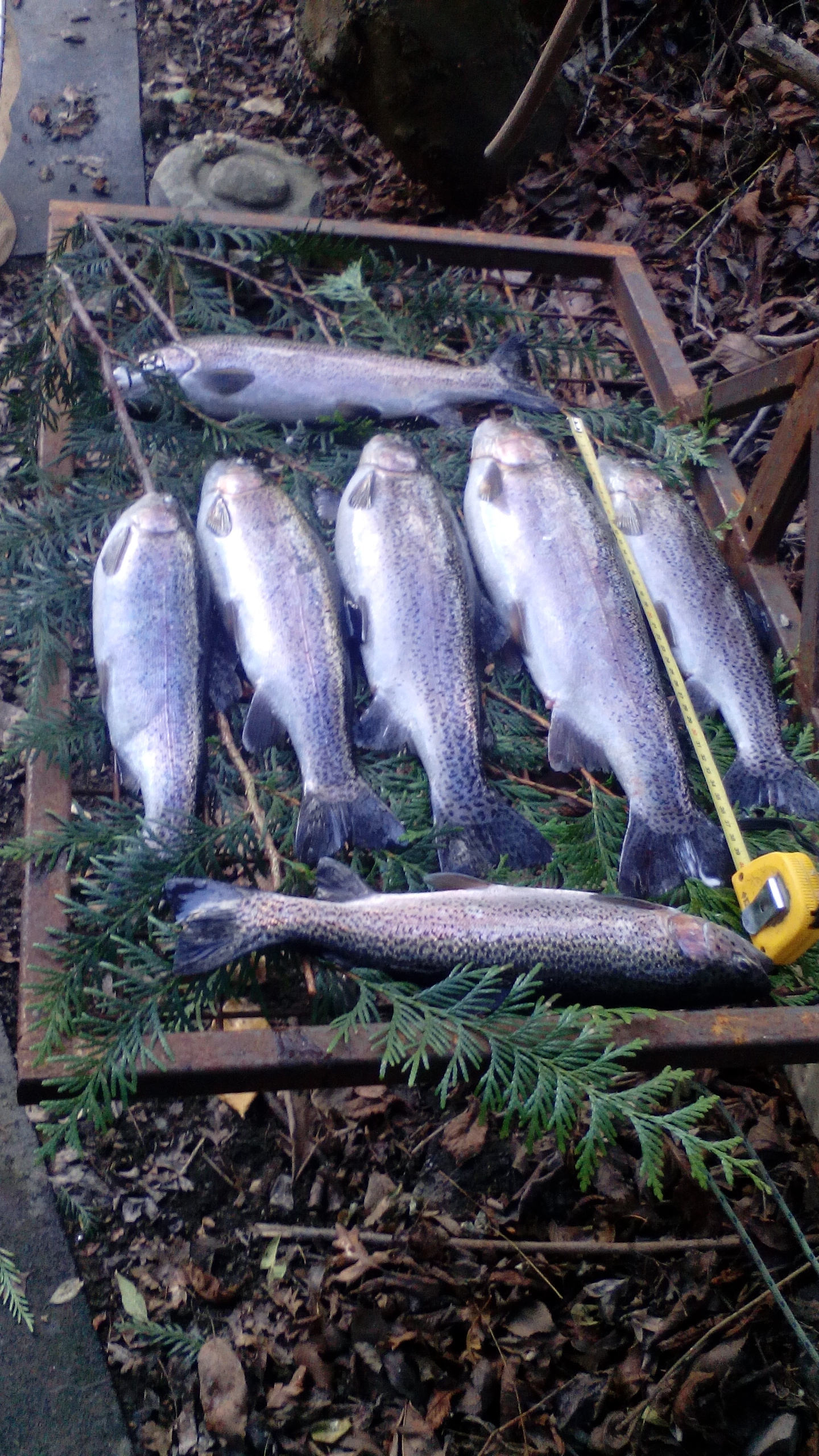 Pstruhová farma Praha 5 Lochkov foto 2