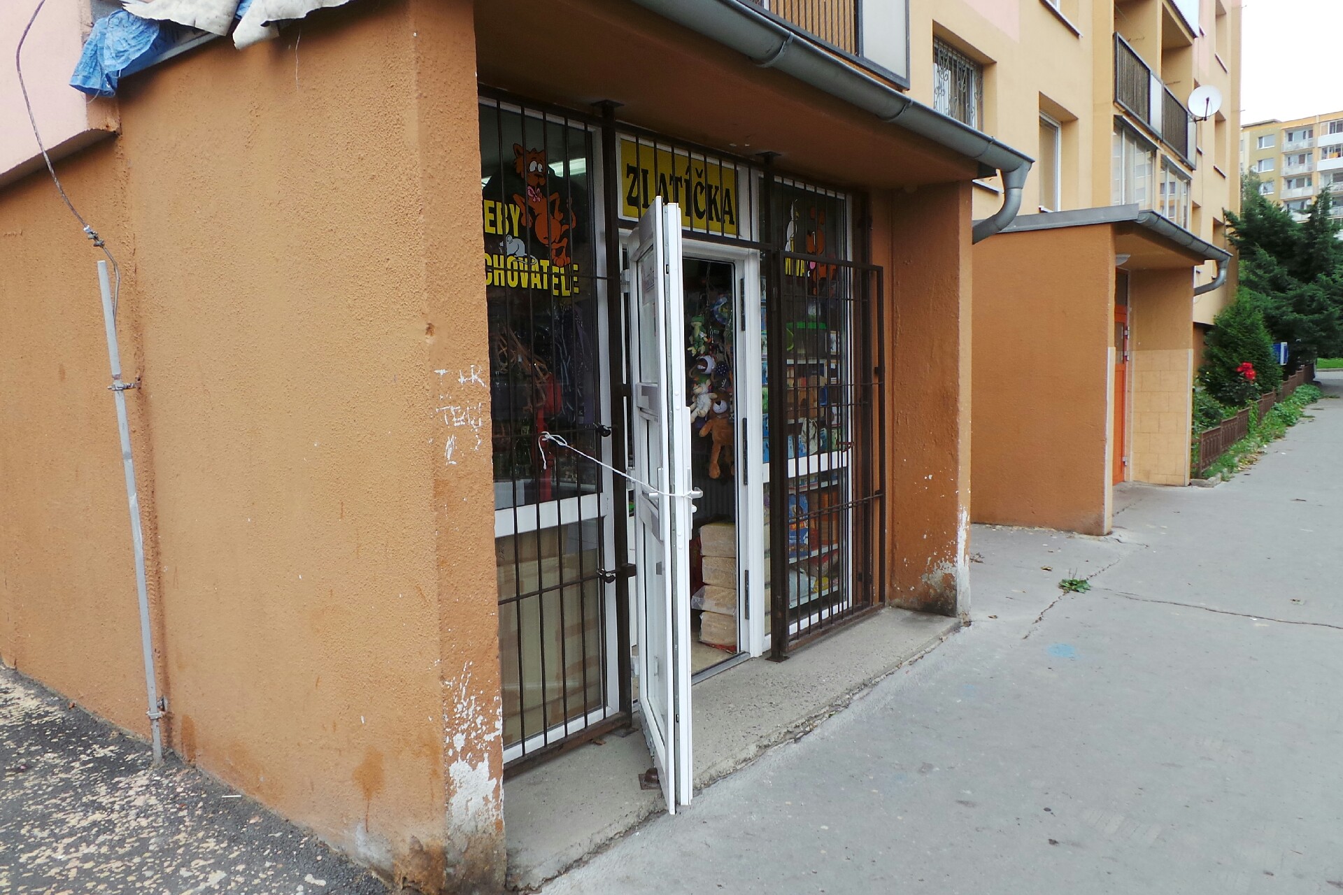 Zlatíčka - Danuše Nývltová foto 1