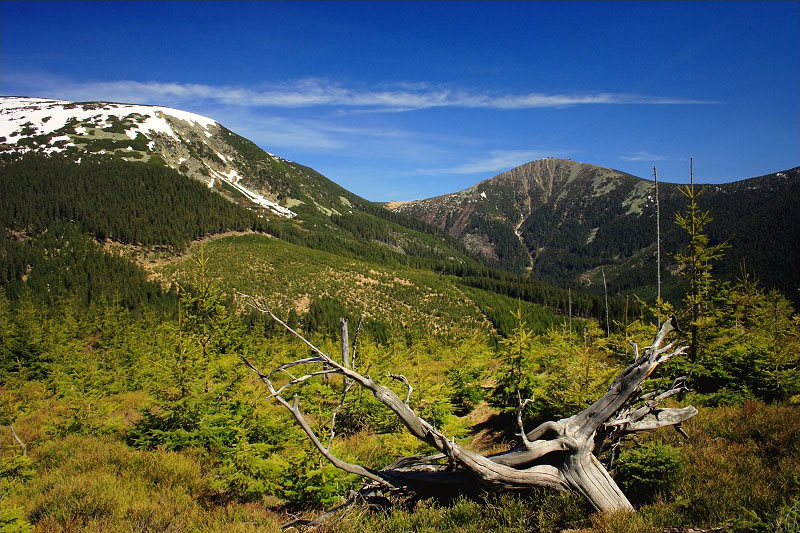 Pension Krakonoš foto 6