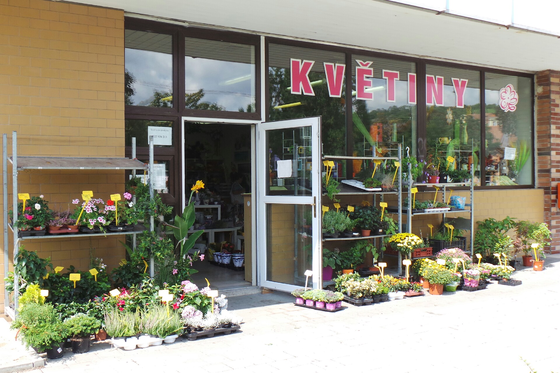 Jana Kopřivová - Květiny