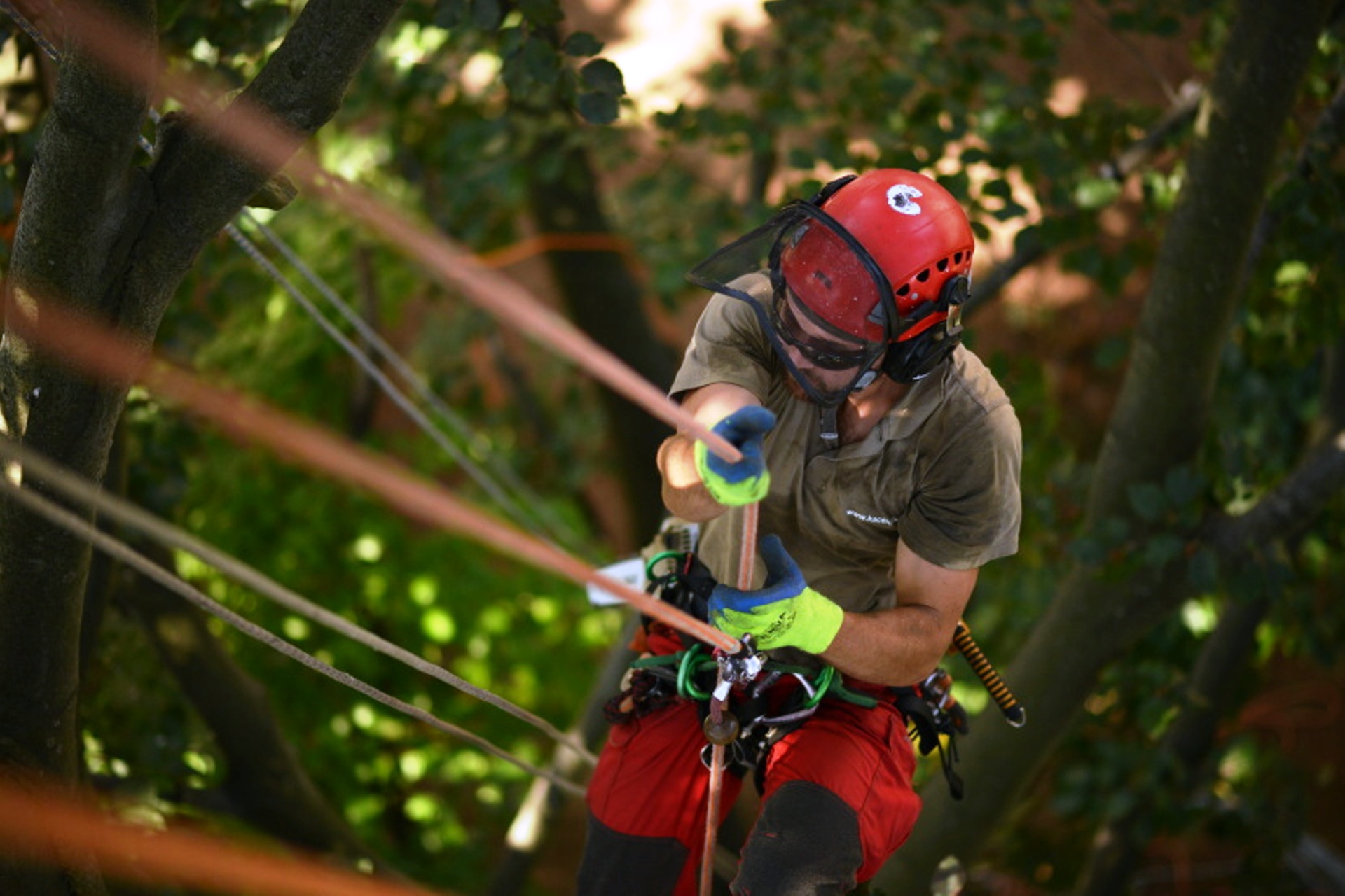 Kaceni Sarapatka s.r.o foto 2