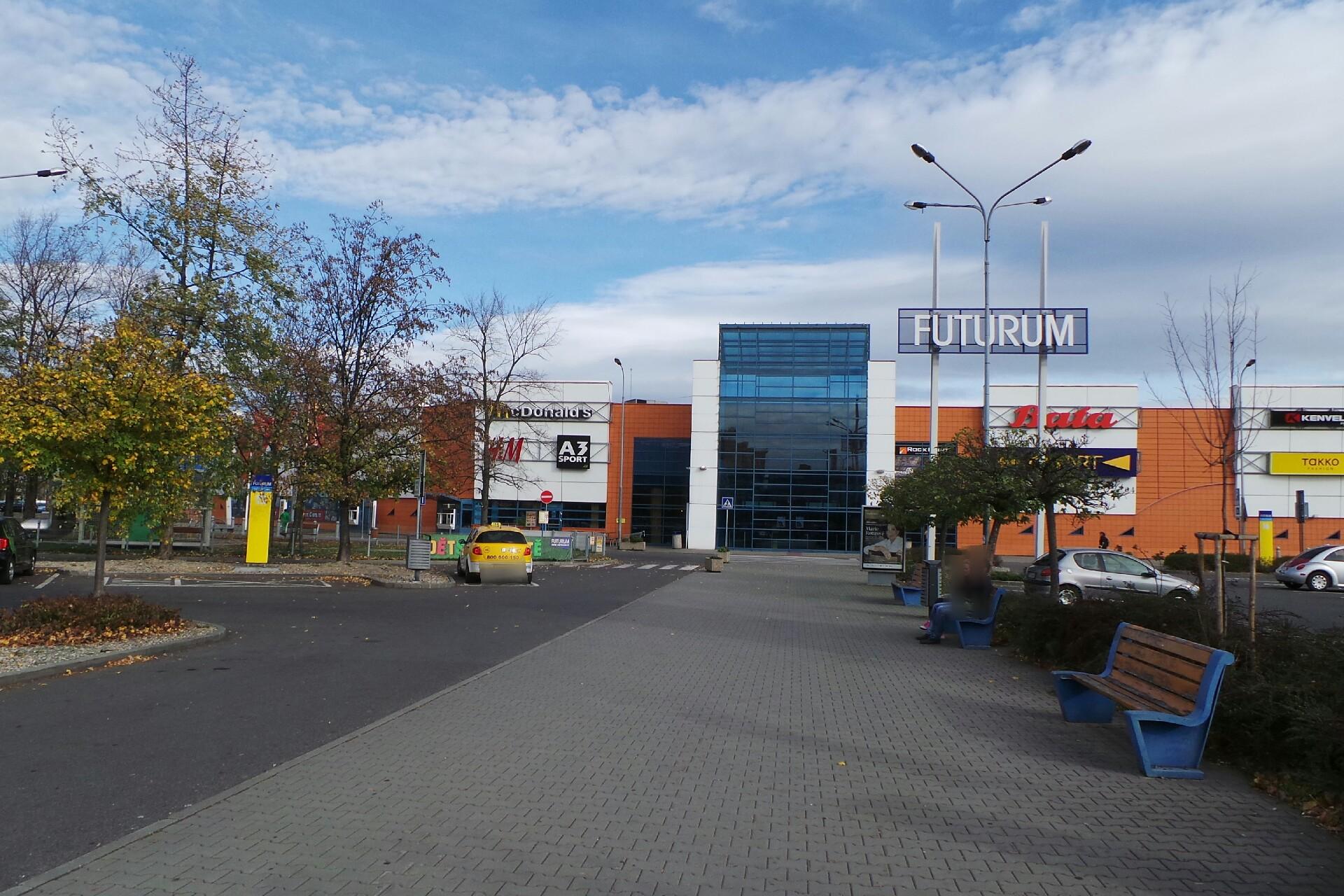 Divoký býk foto 2