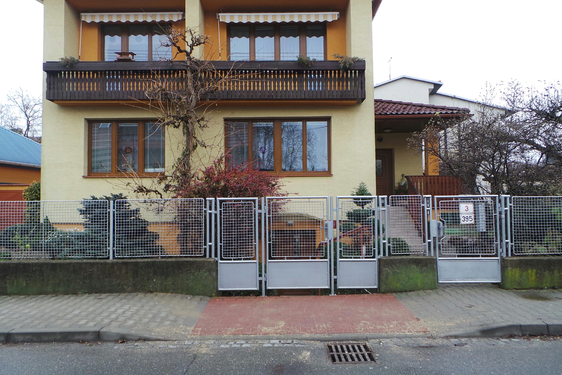 Mgr. Věra Daněčková