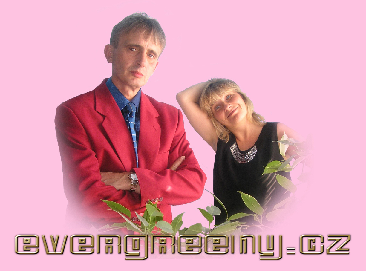 EVERGREENY.CZ foto 4