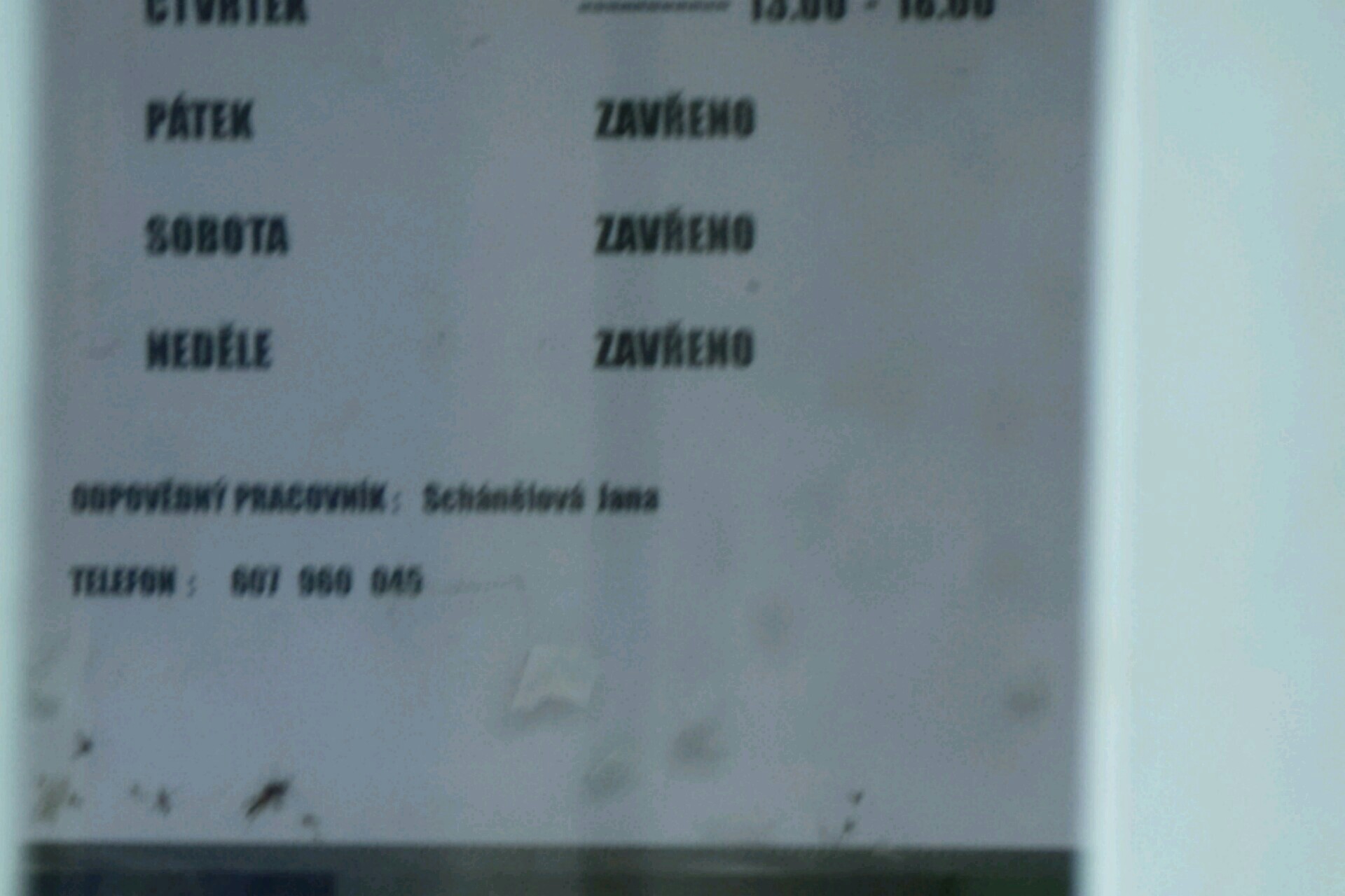 Jana Schánělová foto 2