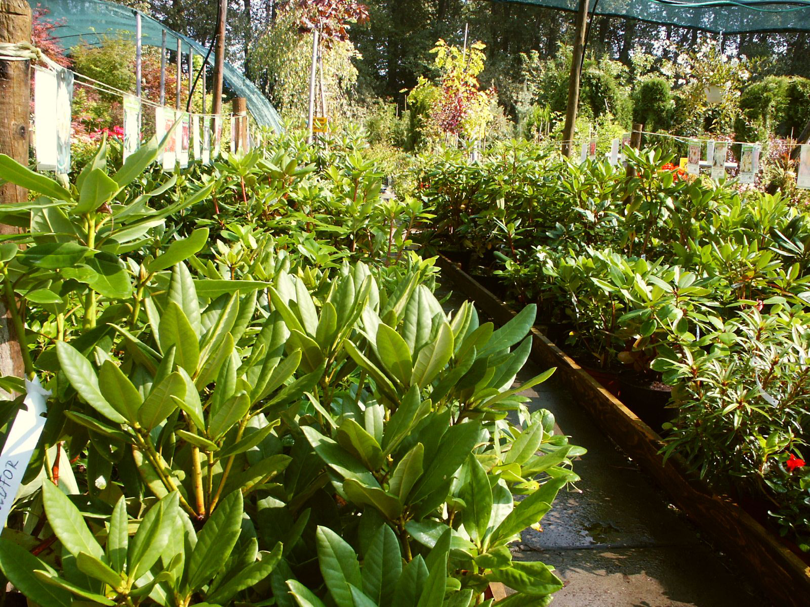 Zahradnictví Franc foto 2