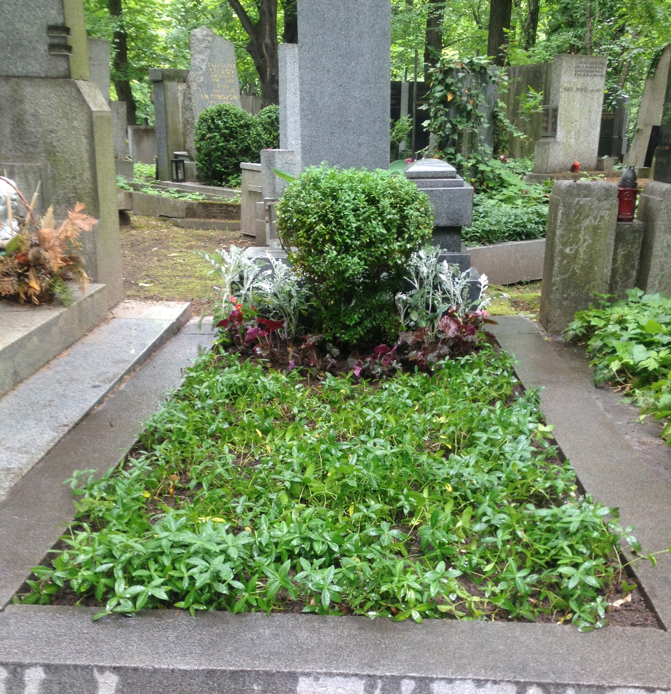 Gabriel´s garden, s.r.o. foto 3