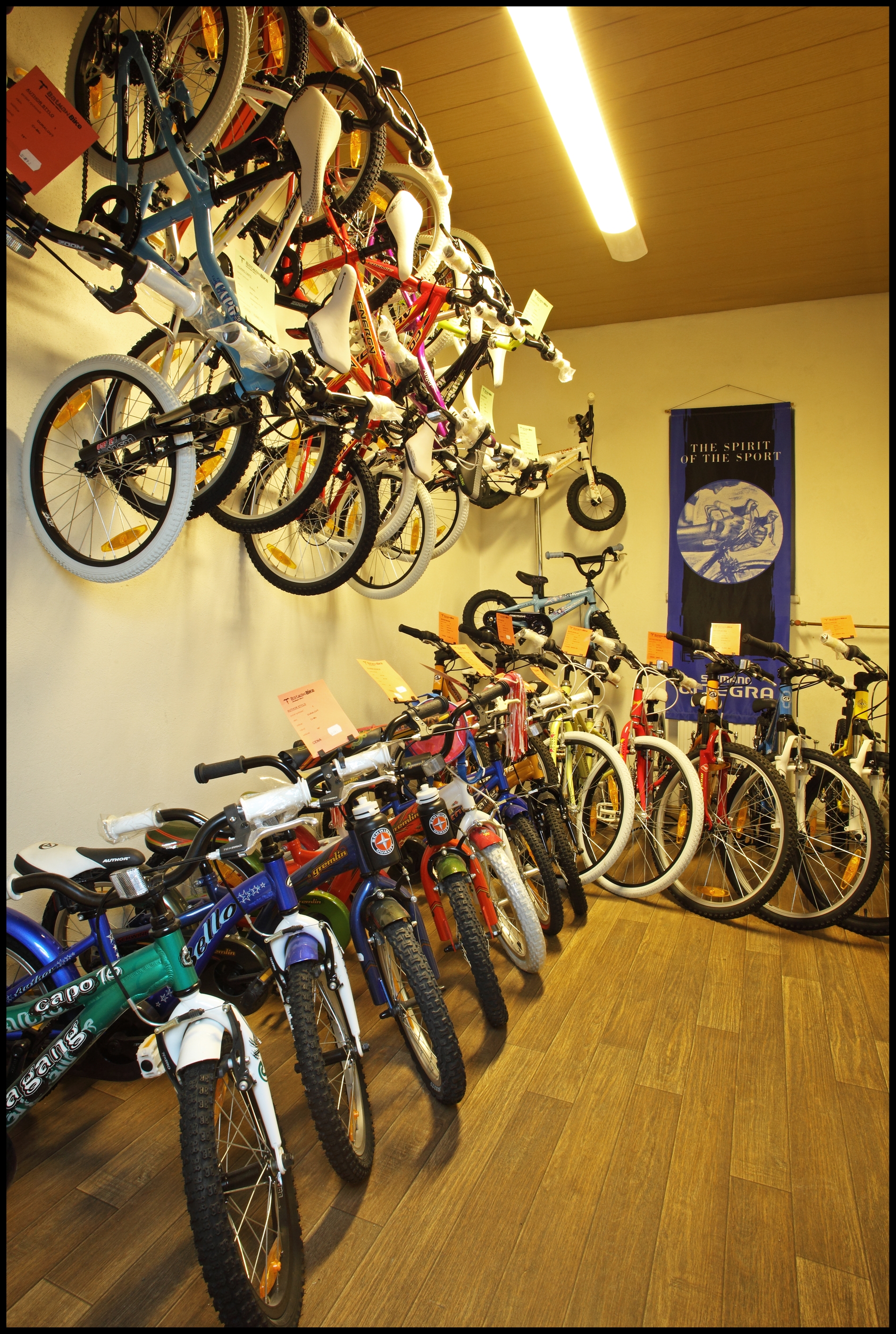 Batman Bike foto 4