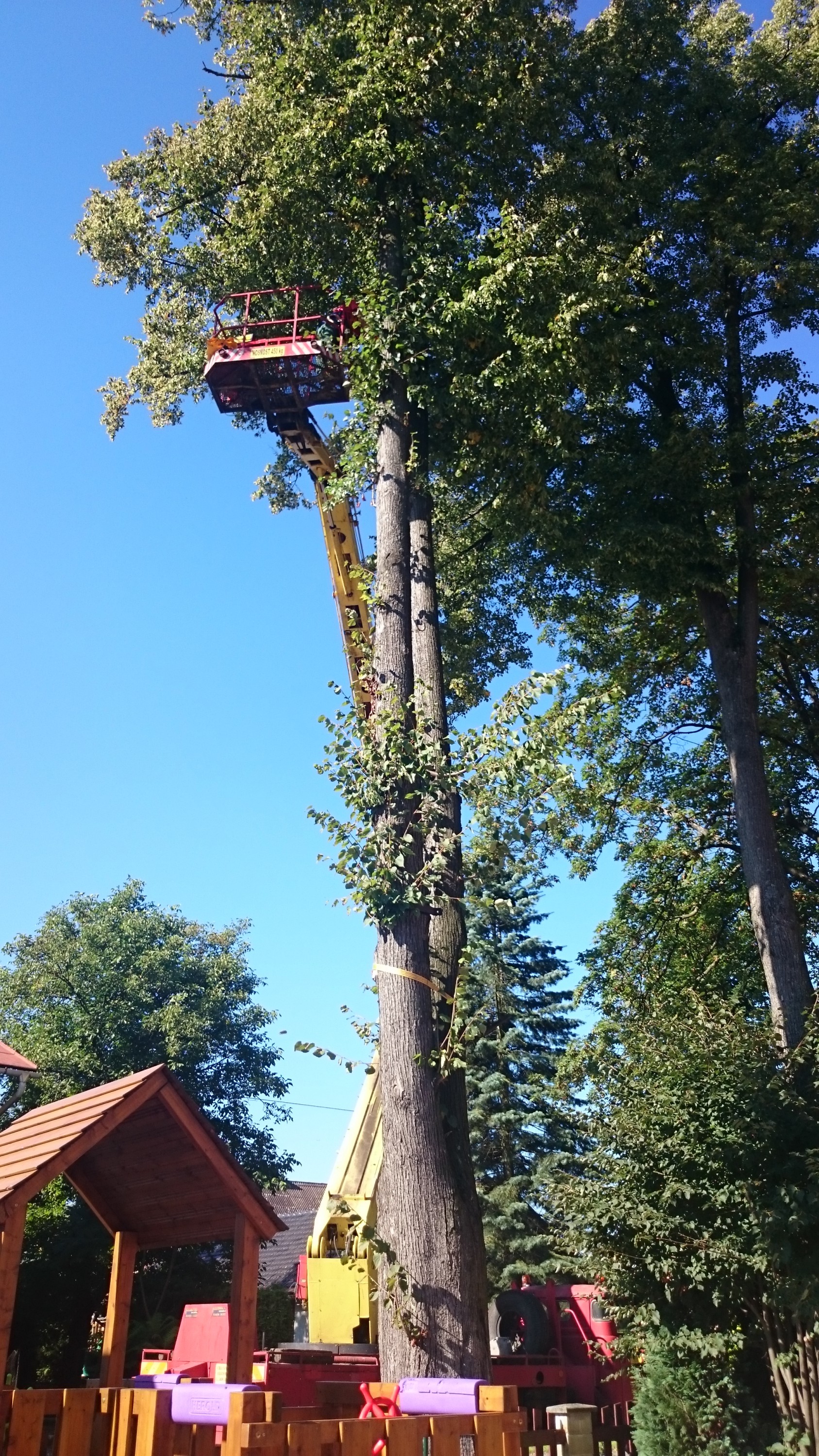Kácení rizikových stromů - Michal Strnad foto 3