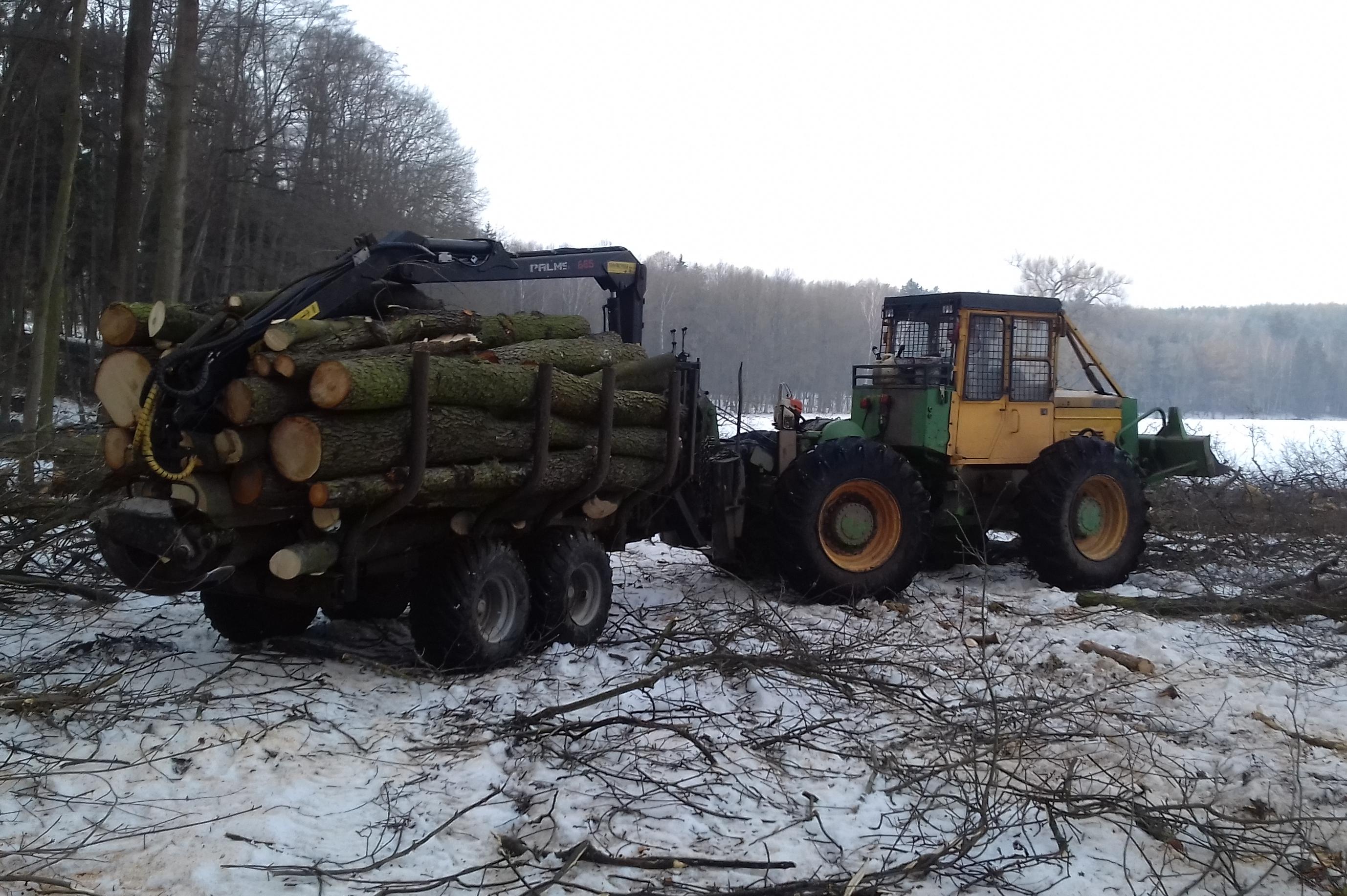 Martin Nosek těžba dřeva