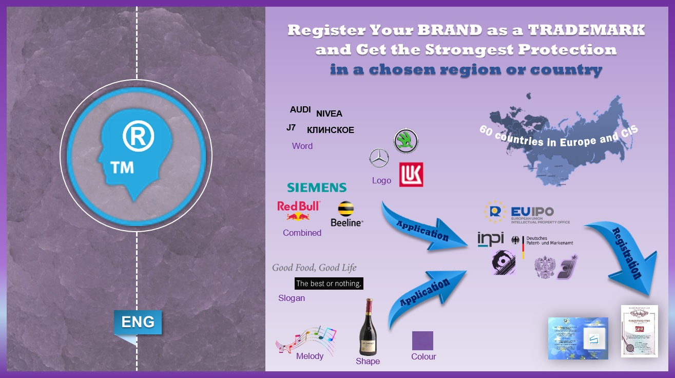 SAIPAL Synergy foto 4