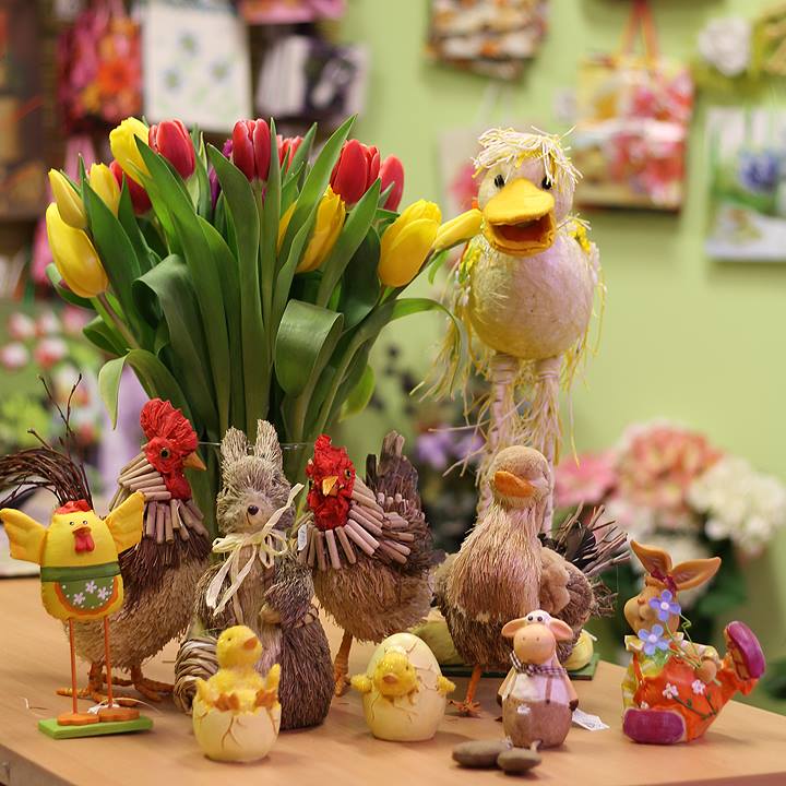 kytkadomu.cz, s.r.o. foto 4