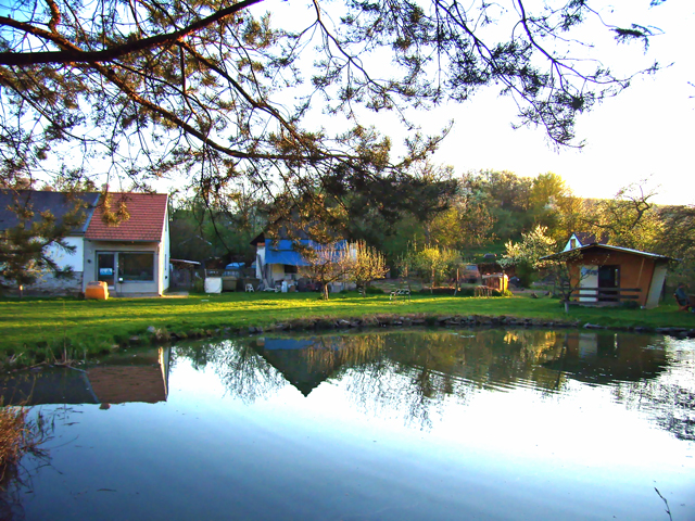 Antonín Srna, Prodej ryb Pístovice foto 4