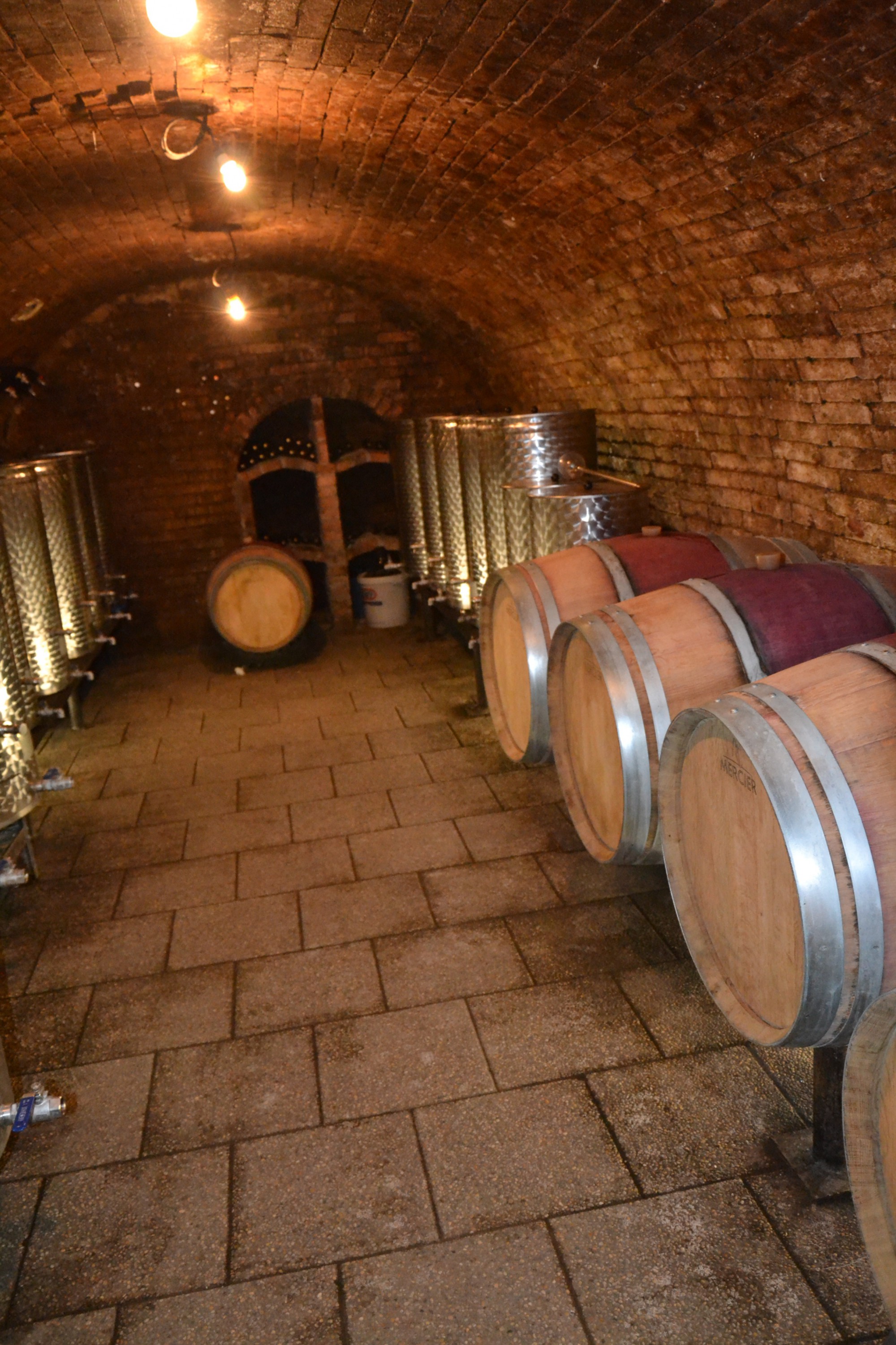 Roman Šmíd - Šmíd Winery