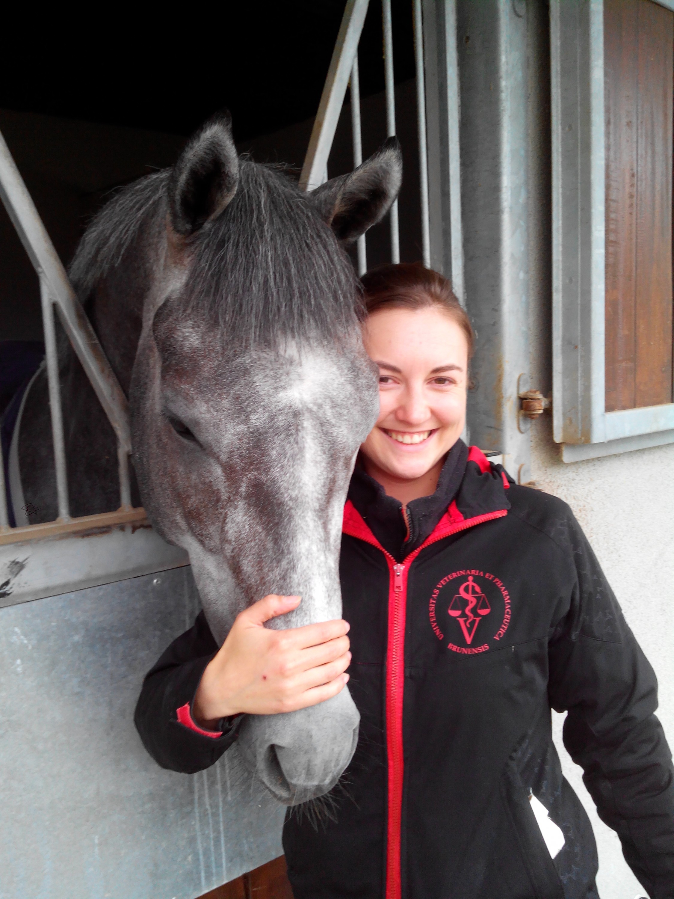 MVDr. Martina Vašíčková - veterinární výjezdová služba foto 3