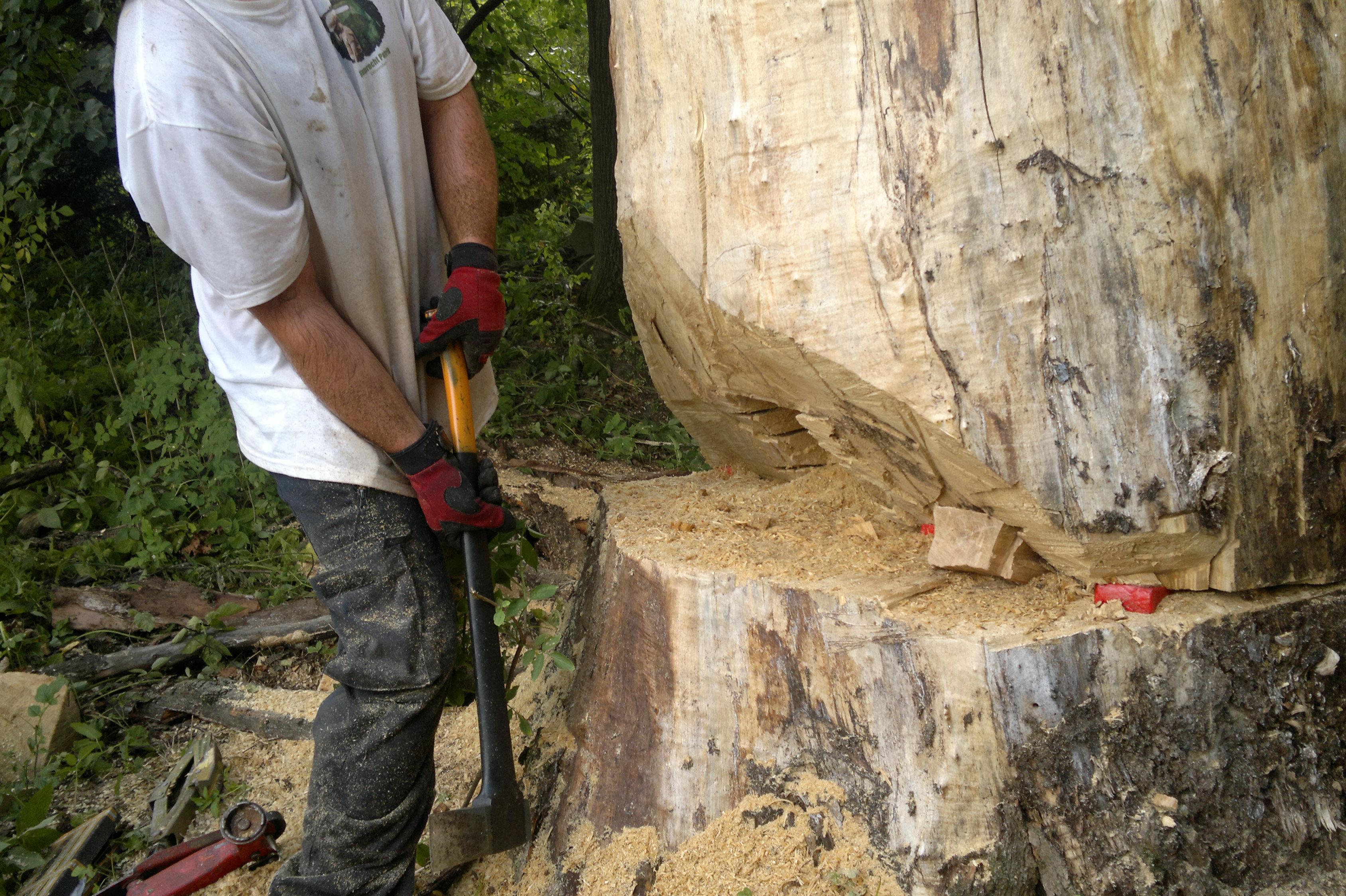 Dřevorubec - Patrik Ruprecht
