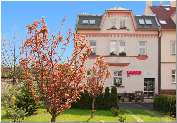 LASSO cz, s.r.o. foto 2