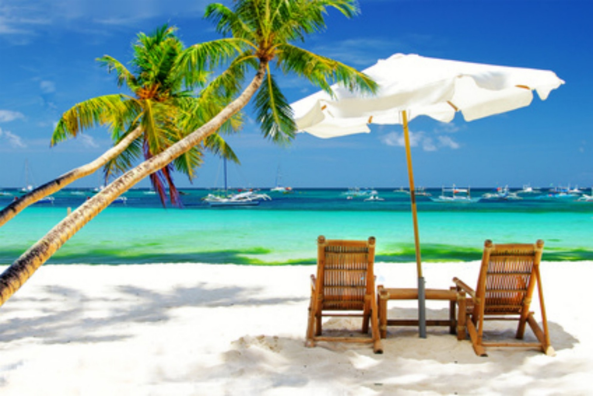 Cestovní agentura Olympia Travel foto 2