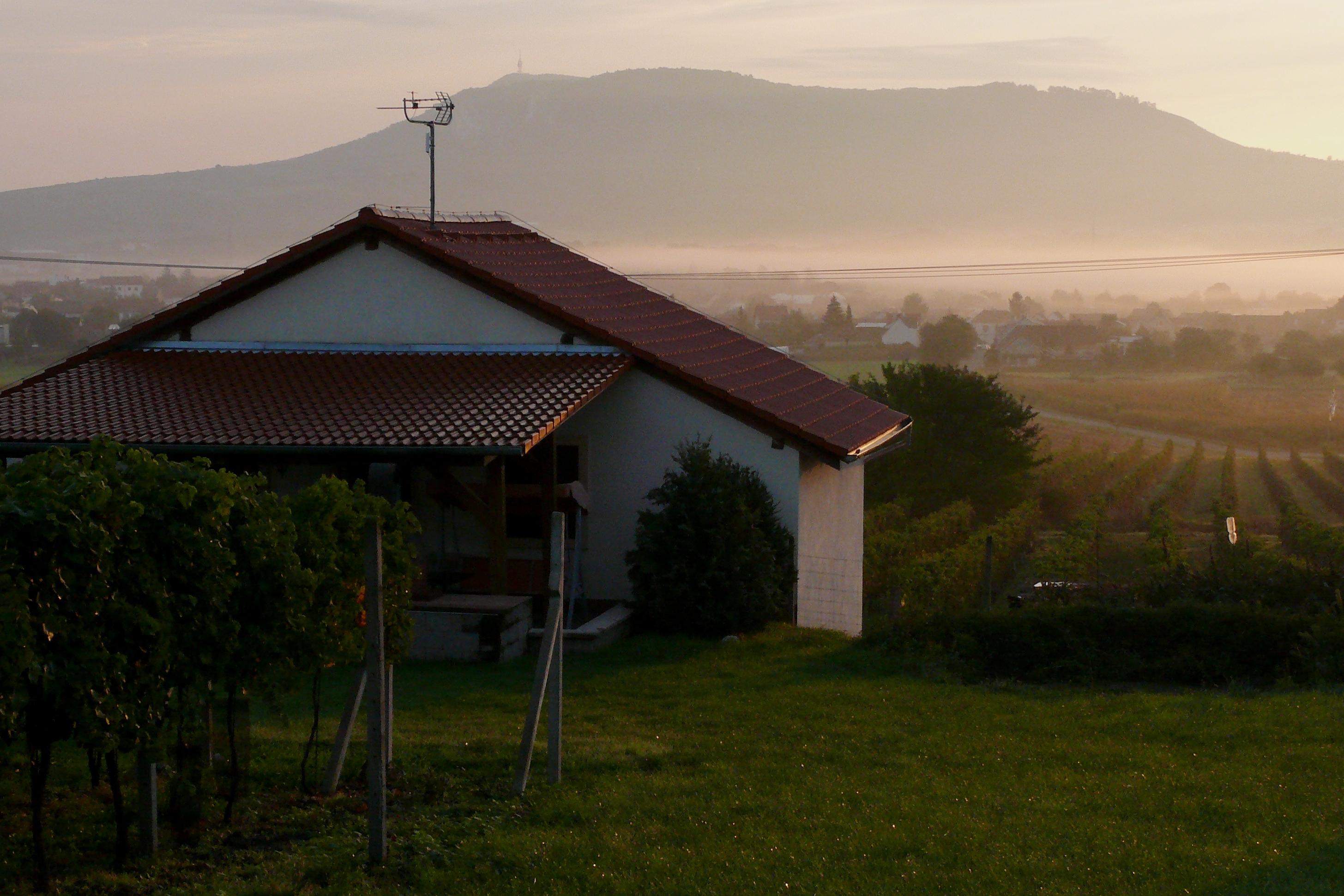 Vinařství Hamerník