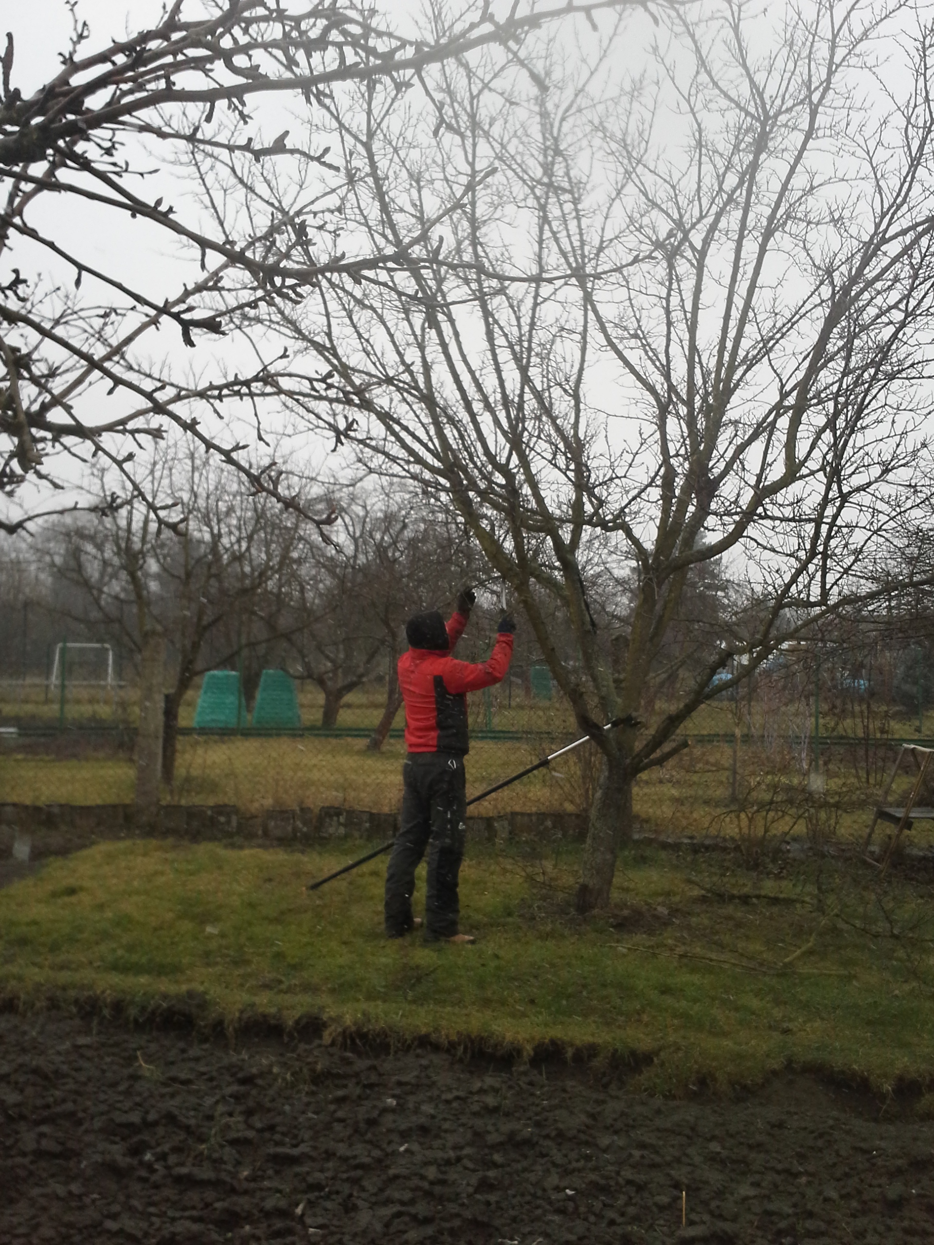 Arborista Martin Latiok - rizikové kácení stromů foto 3