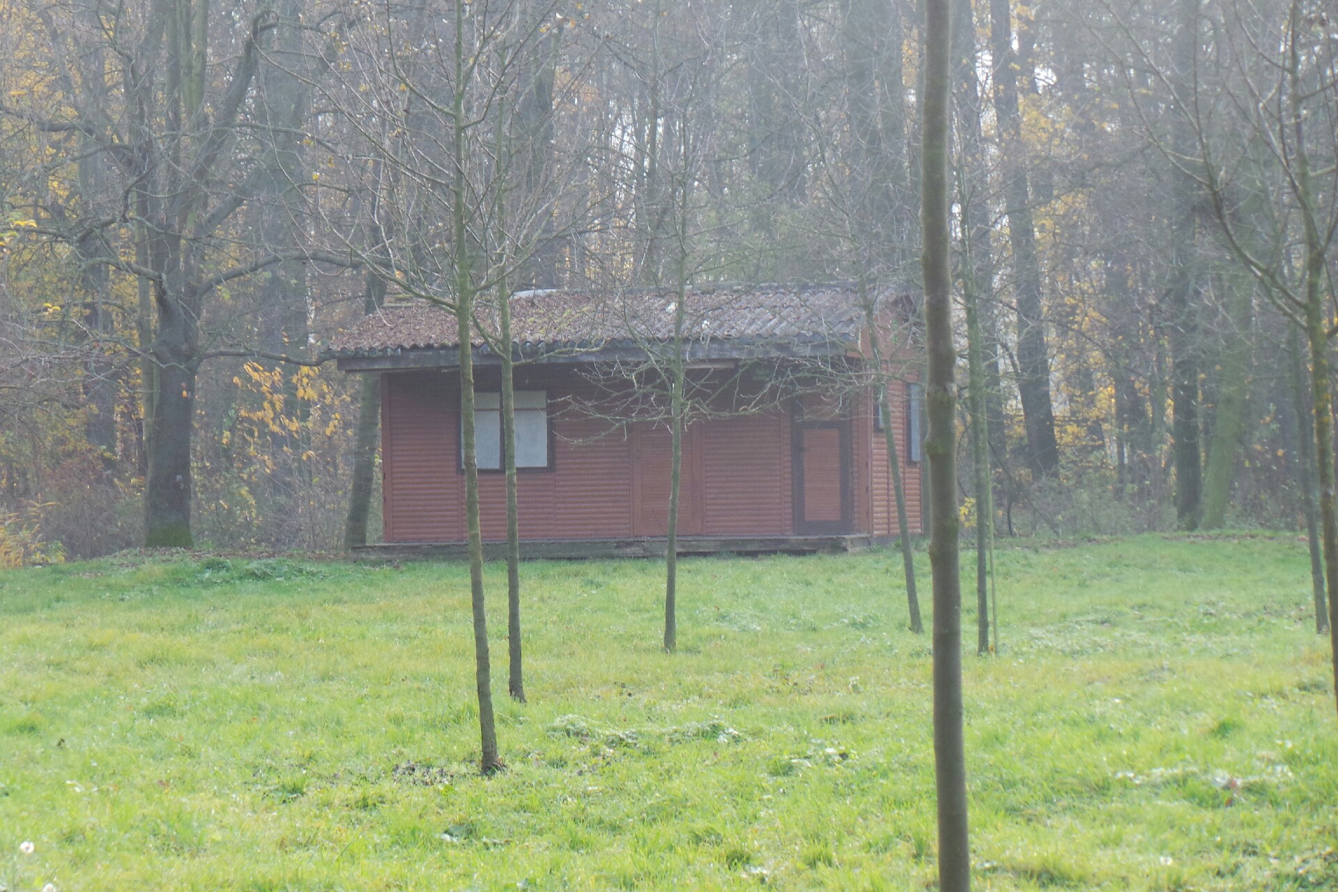 Junák - český skaut, středisko Krále Jiřího Poděbrady