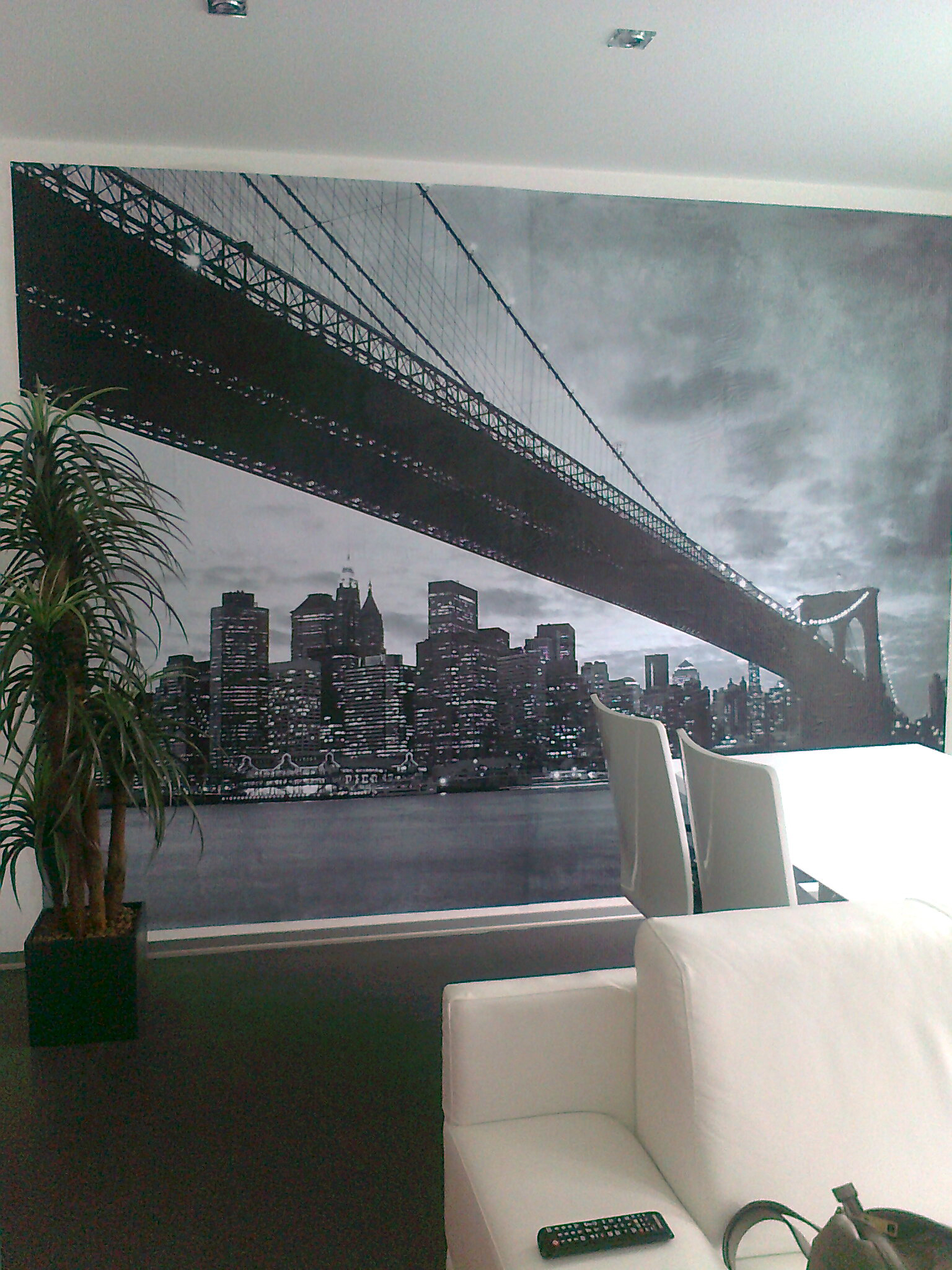 Tapetování Eva Zasadilová foto 2