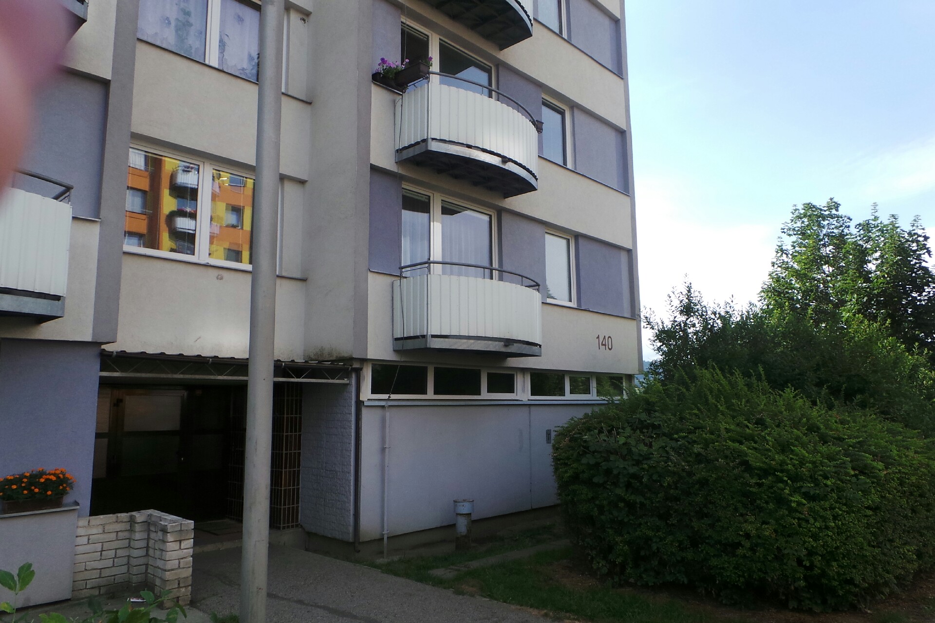 Veterinární ordinace pro psy, kočky a exoty - MVDr. Libor Janouch foto 2