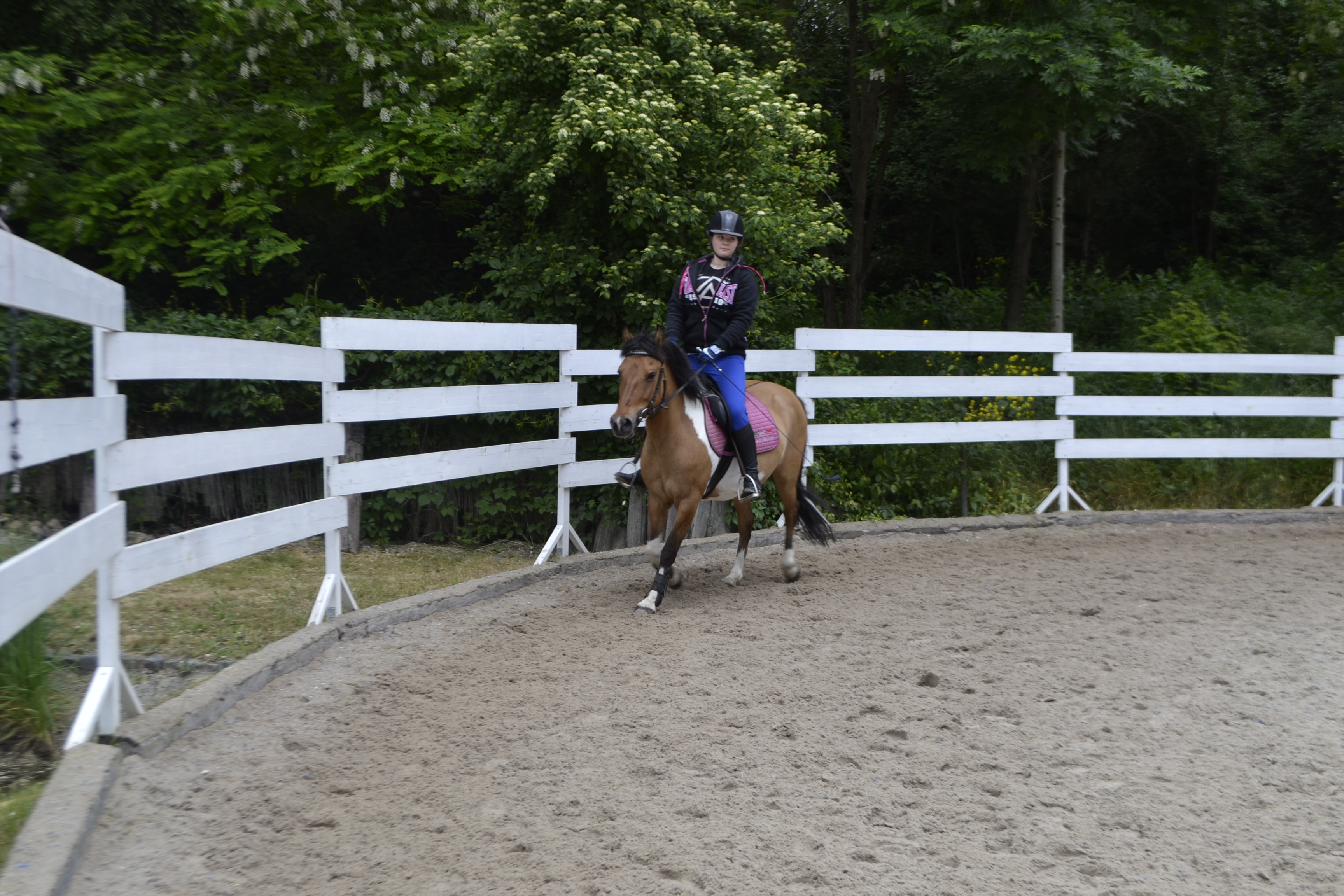 Pražská jezdecká stáj Dolní Chabry foto 4